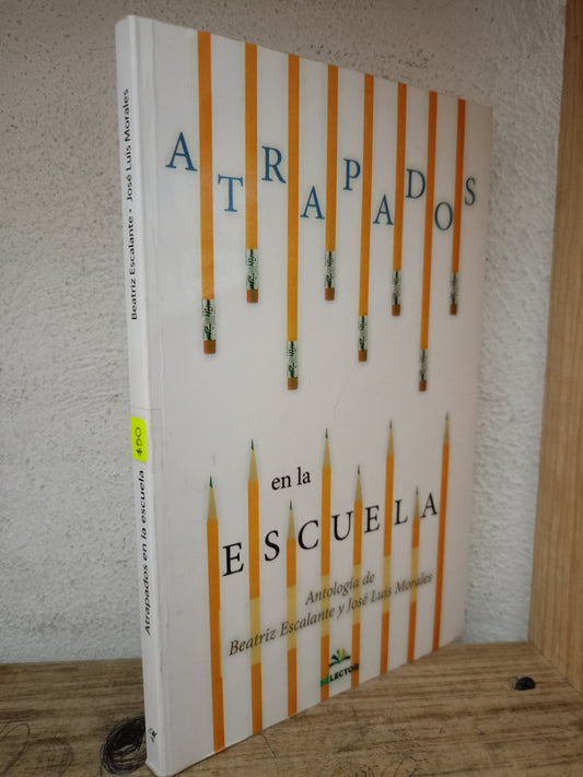 ATRAPADOS EN LA ESCUELA POR BEATRIZ ESCALANTE Y JOSÉ LUIS MORALES USADO NOVELA LITERARIO 305