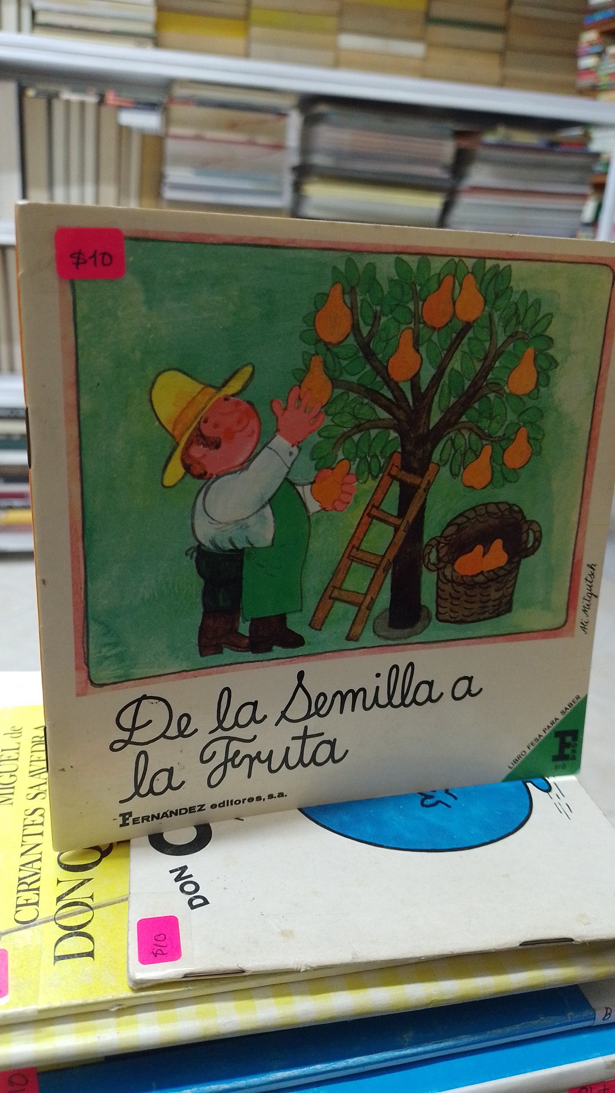 DE LA SEMILLA A LA FRUTA POR ALI MITGUTSCH USADO INFANTIL JUAREZ 515
