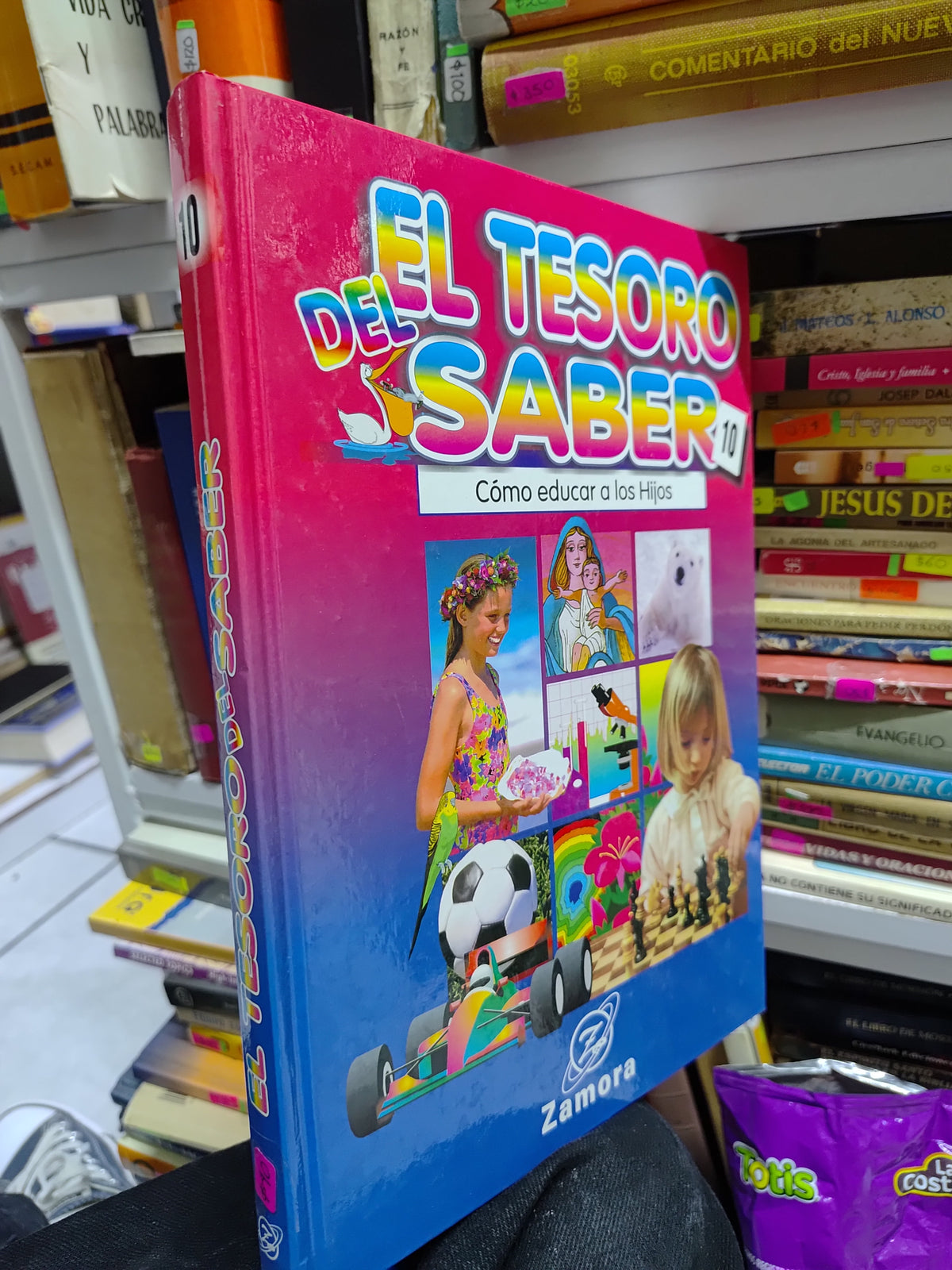 EL TESORO DEL SABER 10 POR EDITORIAL ZAMORA USADO PSICOLOGIA JUAREZ 507