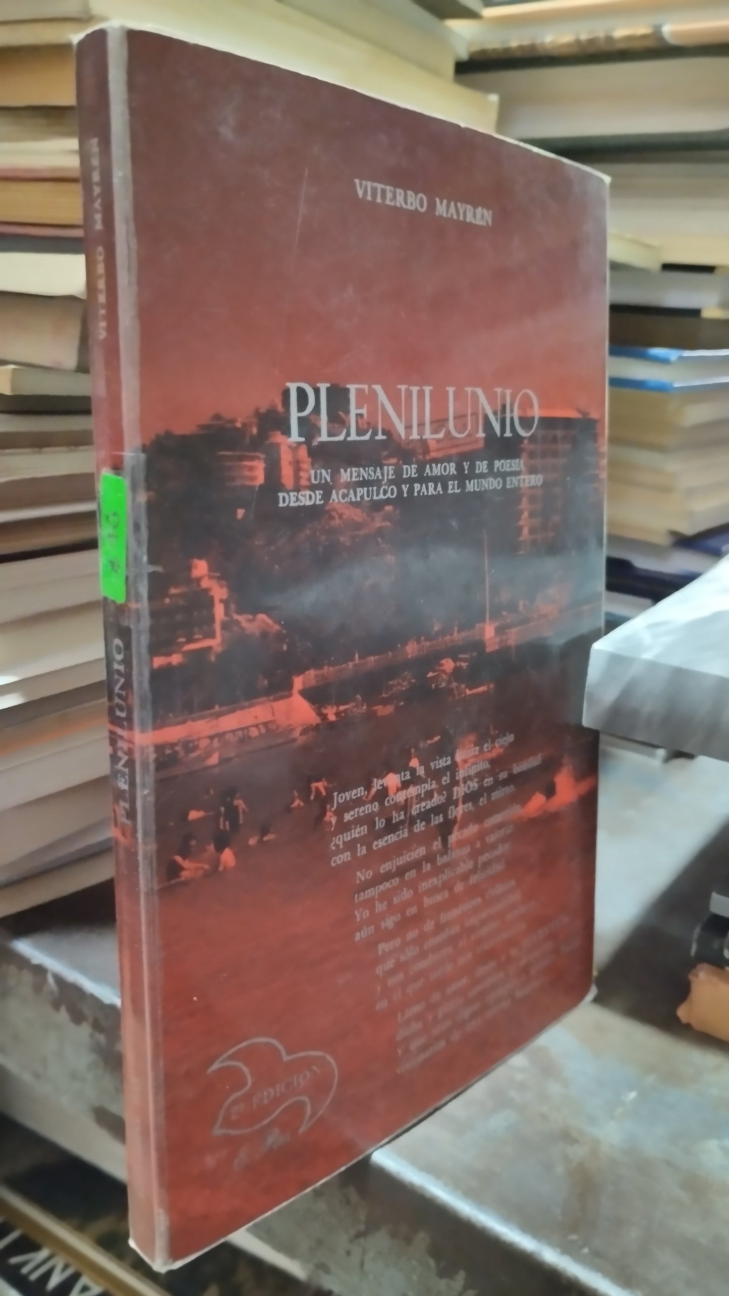 PLENILUNIO POR VITERBO MAYREN LIBRO USADO POESIA ALDAMA