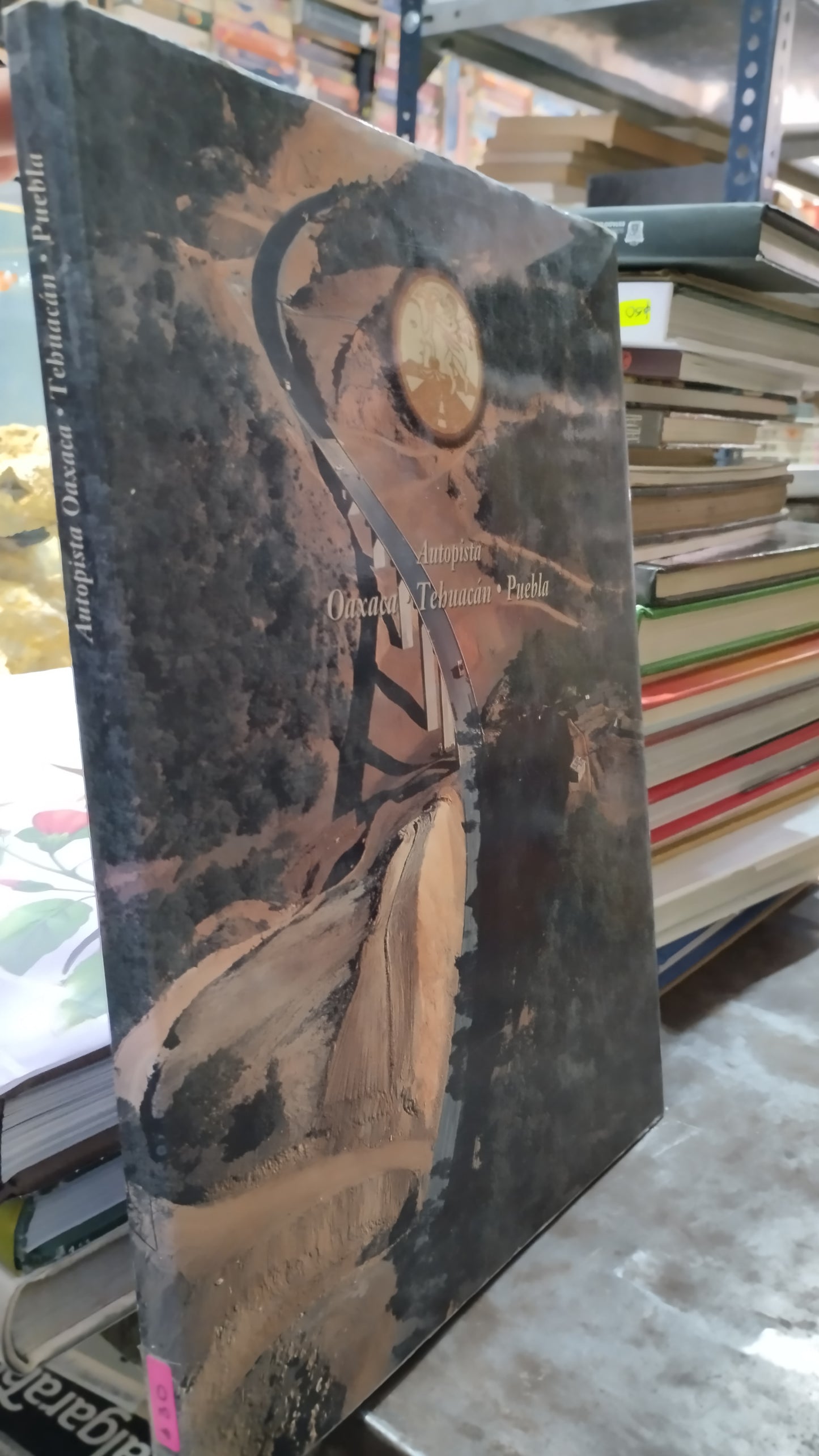 AUTOPISTA OAXACA TEHUACAN PUEBLA LIBRO USADO ARTE ALDAMA