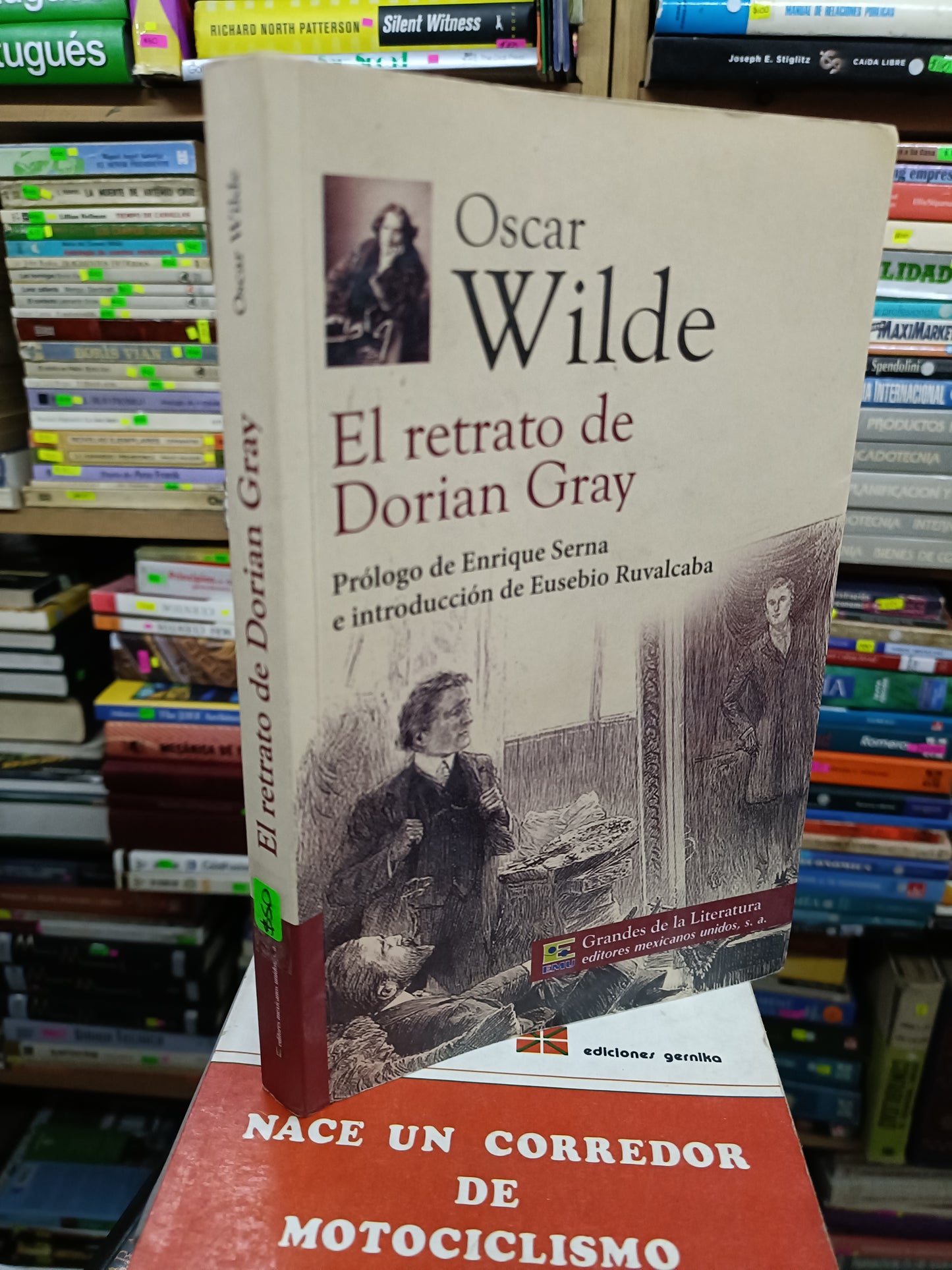 EL RETRATO DE DORIAN GRAY POR OSCAR WILDE USADO NOVELA LITERARIO 207