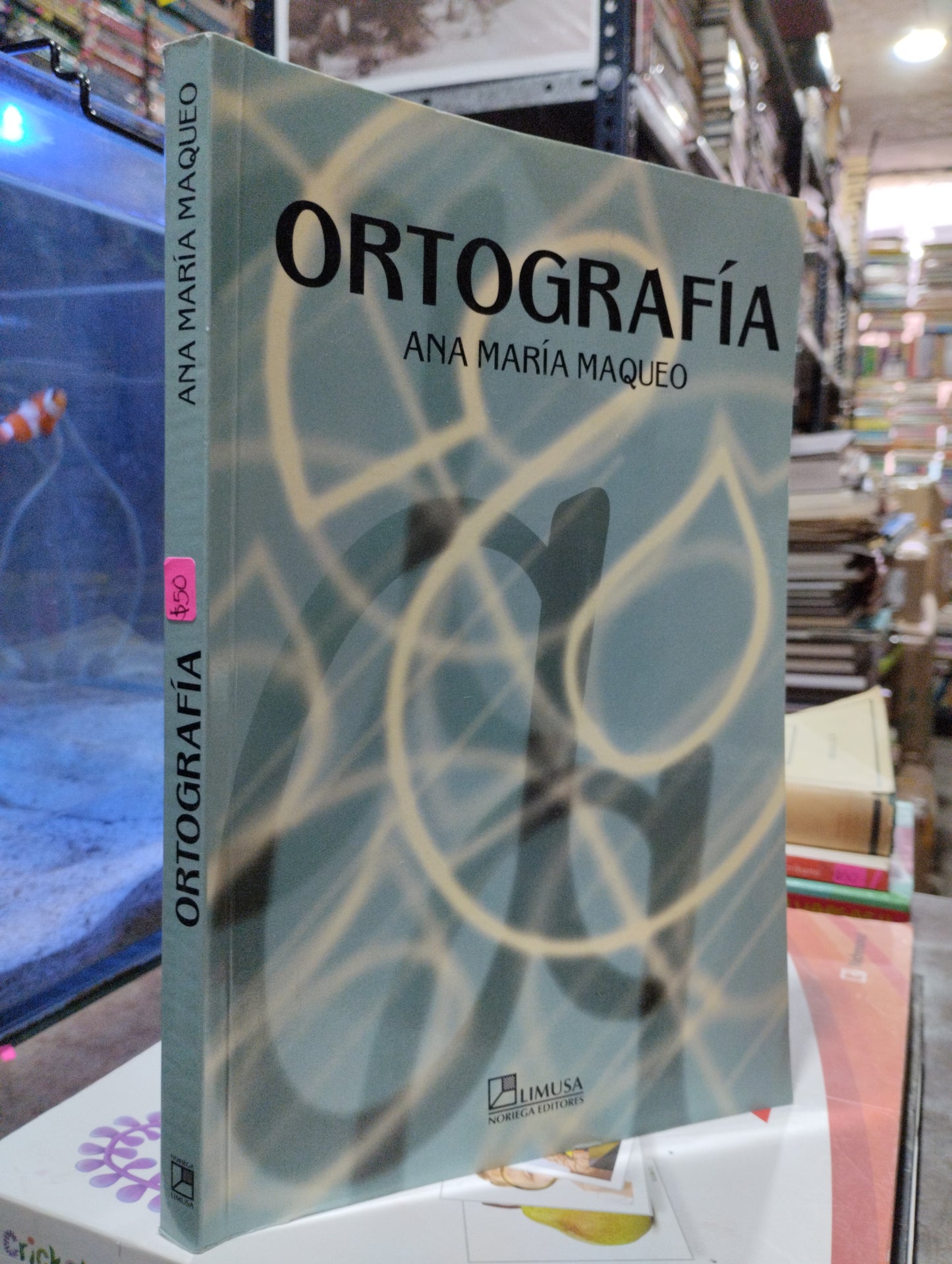 ORTOGRAFIA POR ANA MARIA MAQUEO USADO EDUCACION ALDAMA