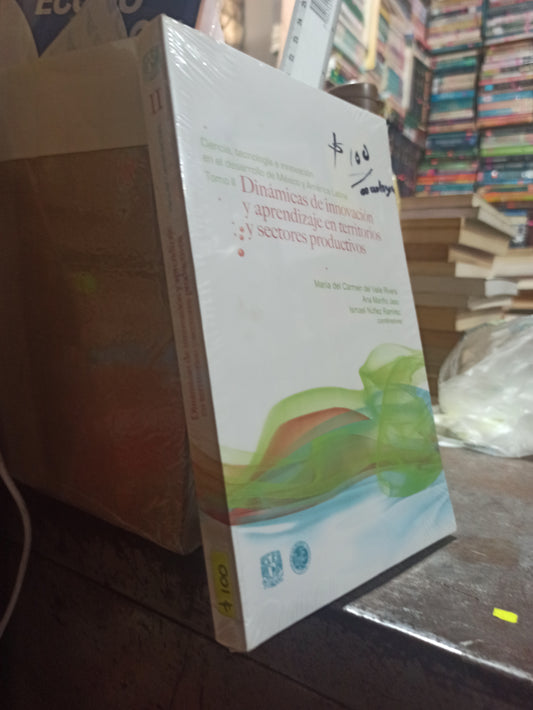 DINAMICAS DE INNOVACION Y APRENDIZAJE EN TERRITORIO S Y SECTORES PRODUCTIVOS POR MARIA DEL CARMEN DEL VALLE RIVEIRA USADO SOCIOLOGÍA ALDAMA