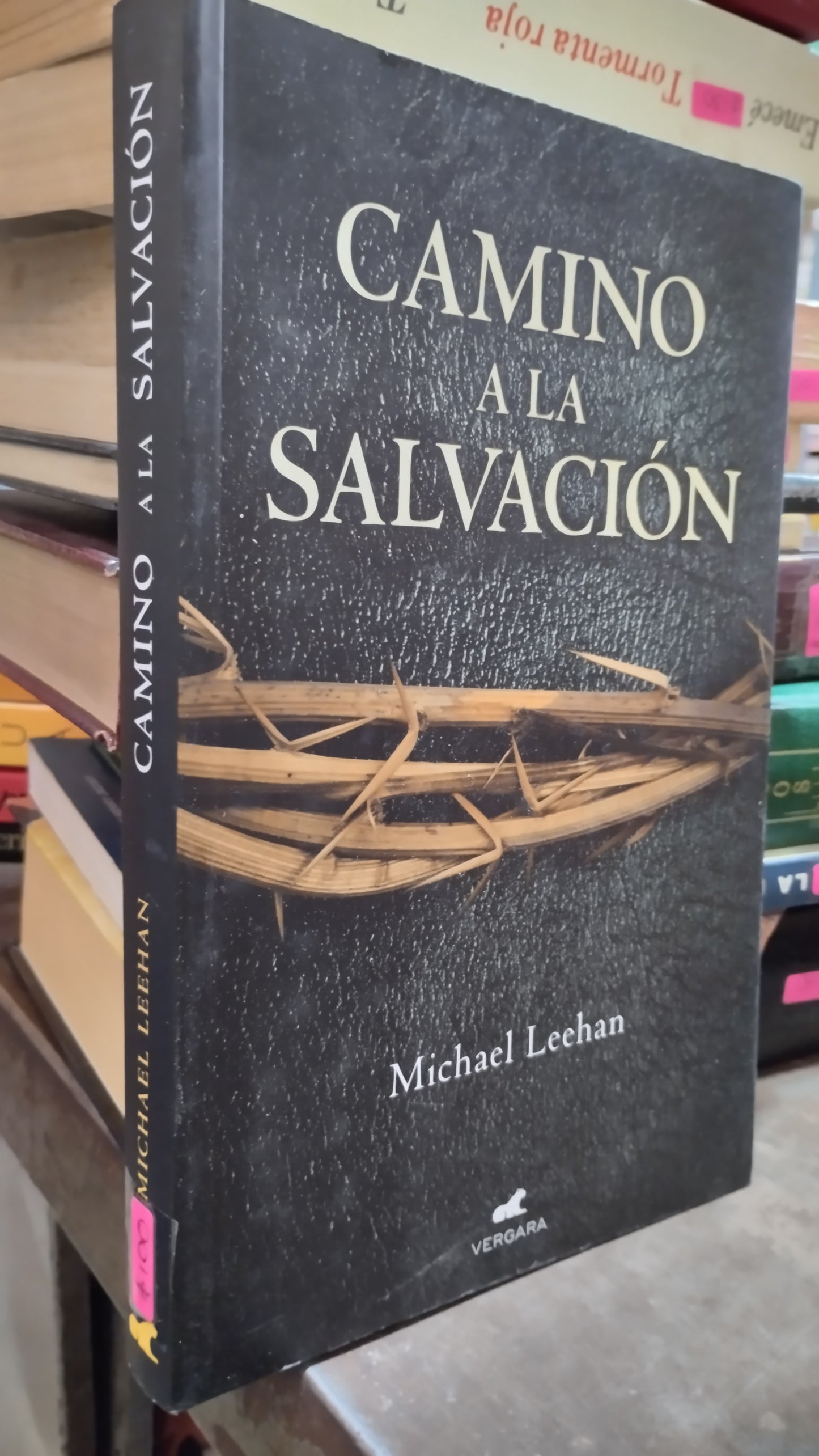 CAMINO A LA SALVACION POR MICHAEL LEEHAN LIBRO USADO NOVELAS ALDAMA