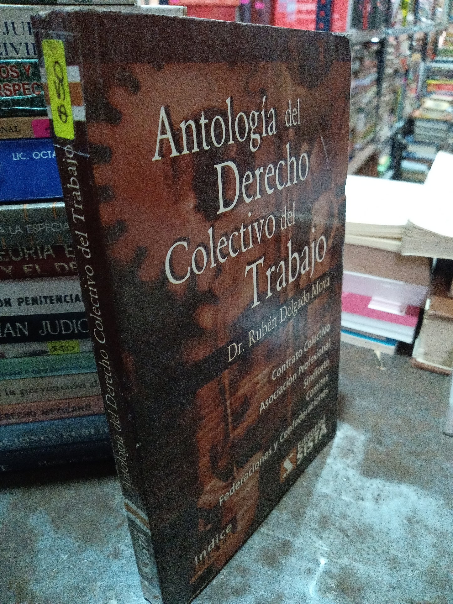 ANTOLOGIA DEL DERECHO COLECTIVO DEL TRABAJO POR DR RUBEN DELGADO MOYA USADO DERECHO ALDAMA