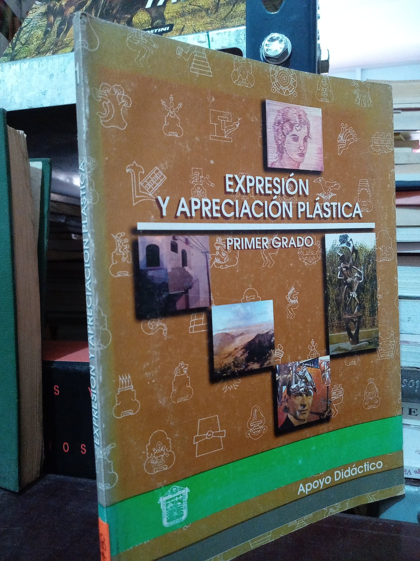 EXPRESION Y APRECIACION PLASTICA USADO ARTE LITERARIO 305