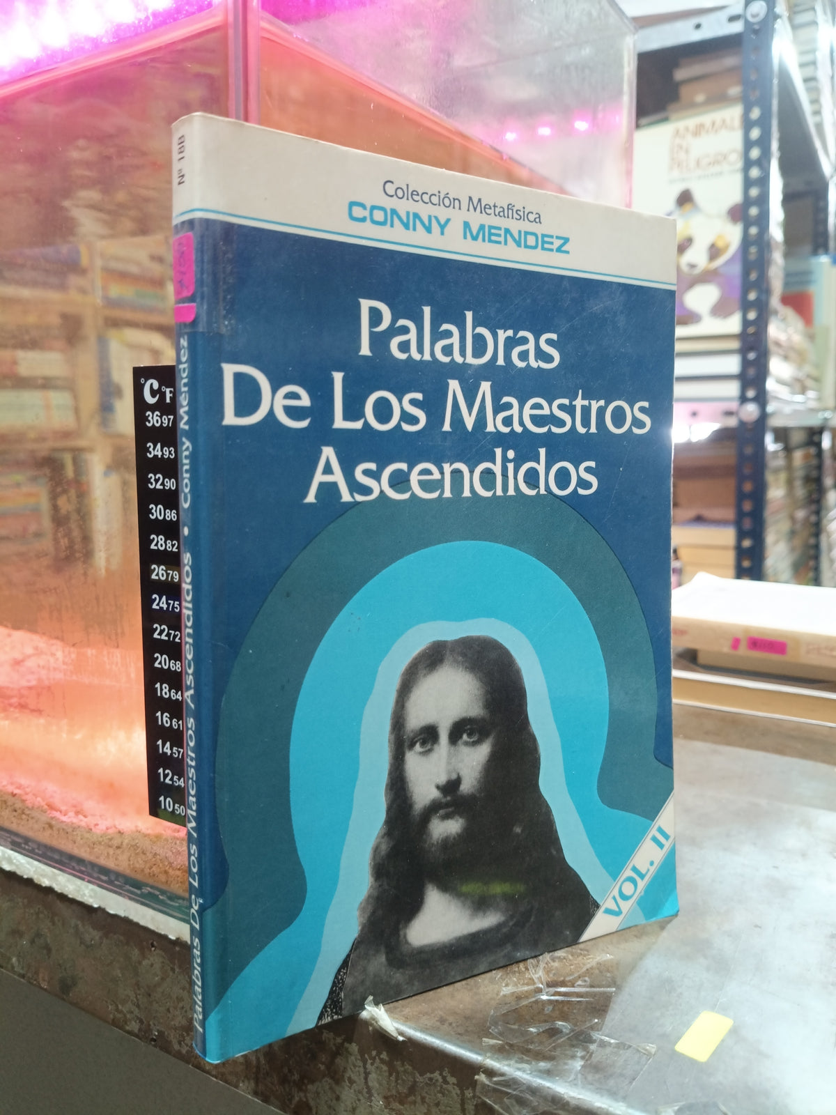 PALABRAS DE LOS MAESTROS ASCENDIDOS VOL II POR CONNY MENDEZ USADO SUPERACION PERSONAL ALDAMA