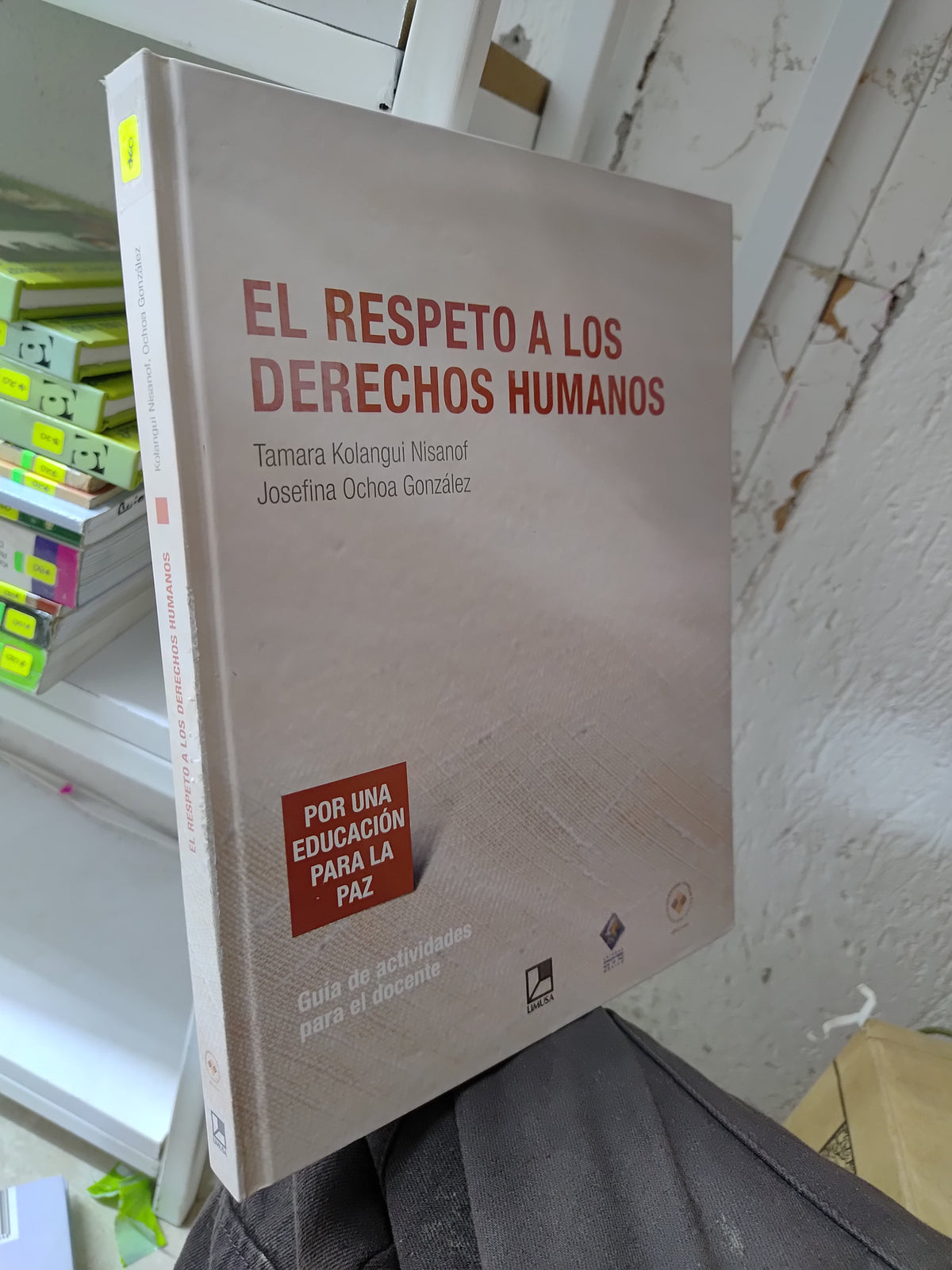 EL RESPETO A LOS DERECHOS HUMANOS POR TAMARA KOLANGUI NISANOF USADO EDUCACION JUAREZ 515
