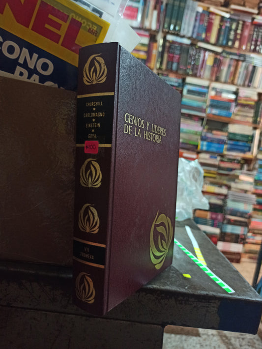 GENIOS Y LIDERES DE LA HISTORIA VOLUMEN VII POR VARIOS AUTORES USADO HISTORIA ALDAMA