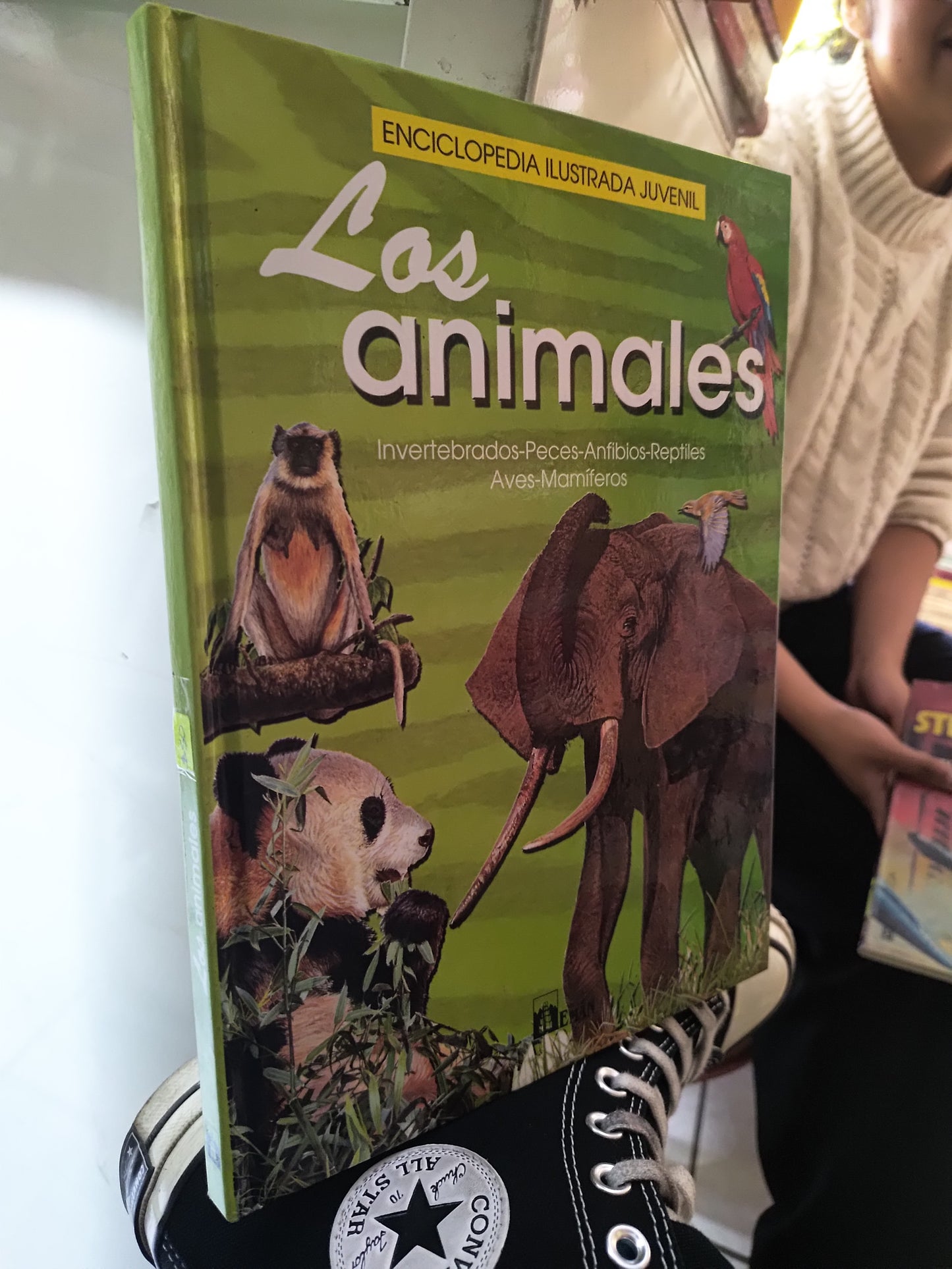 LOS ANIMALES POR EDITORIAL LIBSA USADO INFANTIL JUAREZ