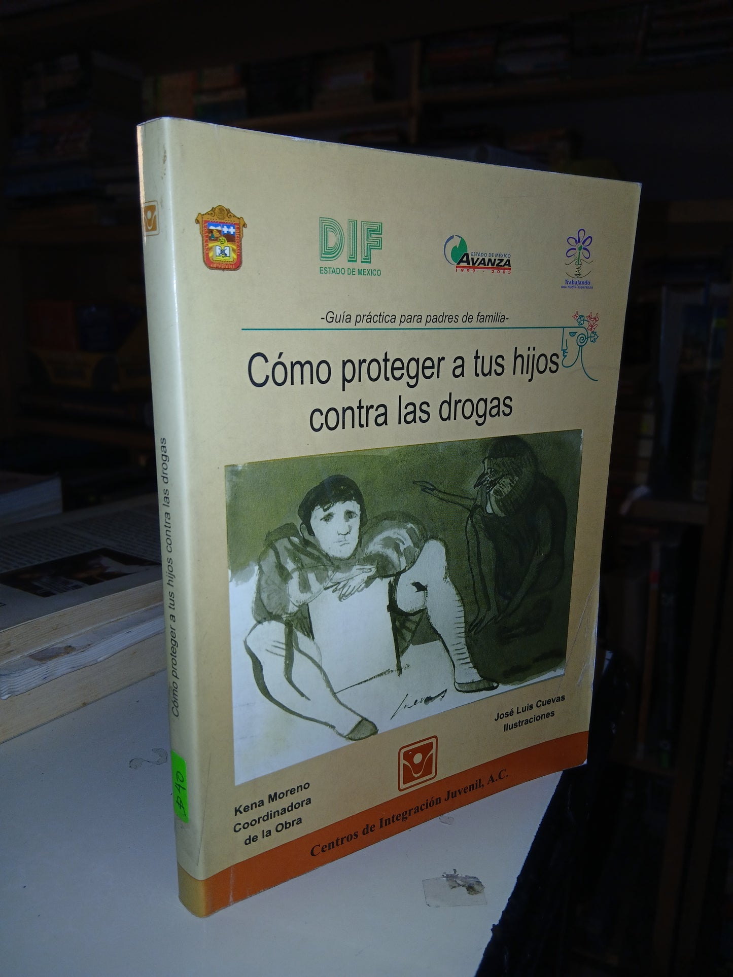 CÓMO PROTEGER A TUS HIJOS CONTRA LAS DROGAS POR KENA MORENO (COORDINADORA) USADO SUPERACIÓN PERSONAL LITERARIO 207
