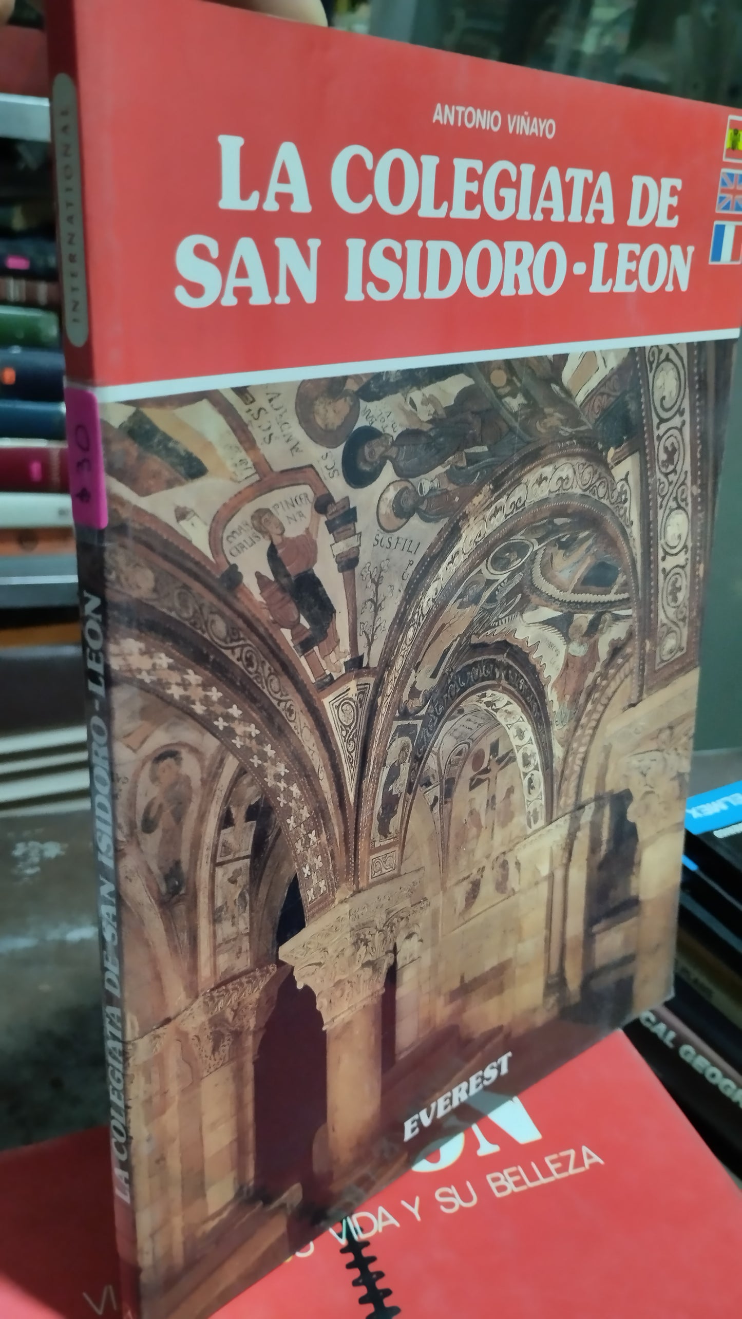LA COLEGIATA DE SAN ISIDORO LEON POR ANTONIO VIÑAYO LIBRO USADO GEOGRAFÍA ALDAMA