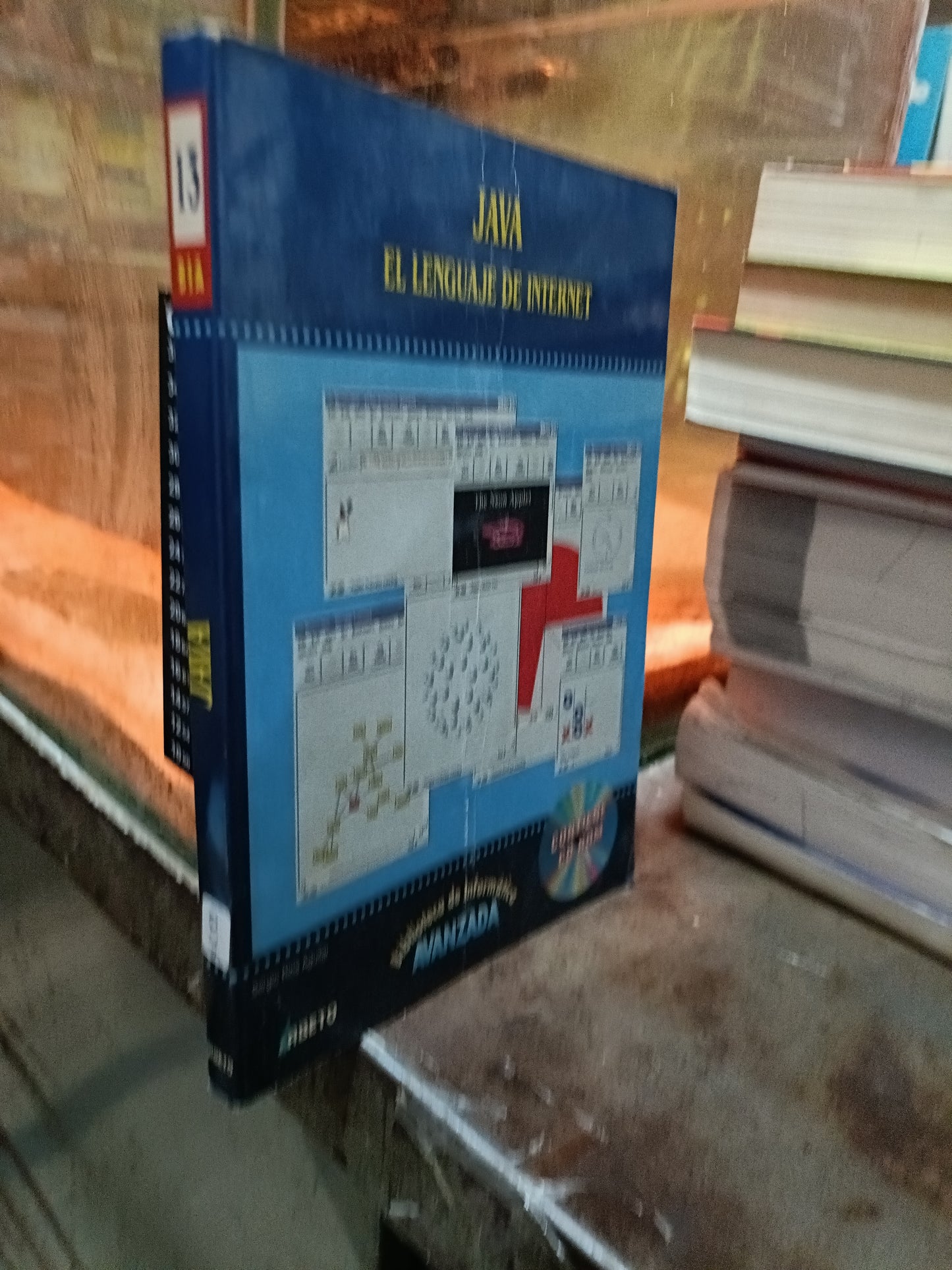 EL LENGUAJE DE INTERNET USADO COMPUTACION ALDAMA