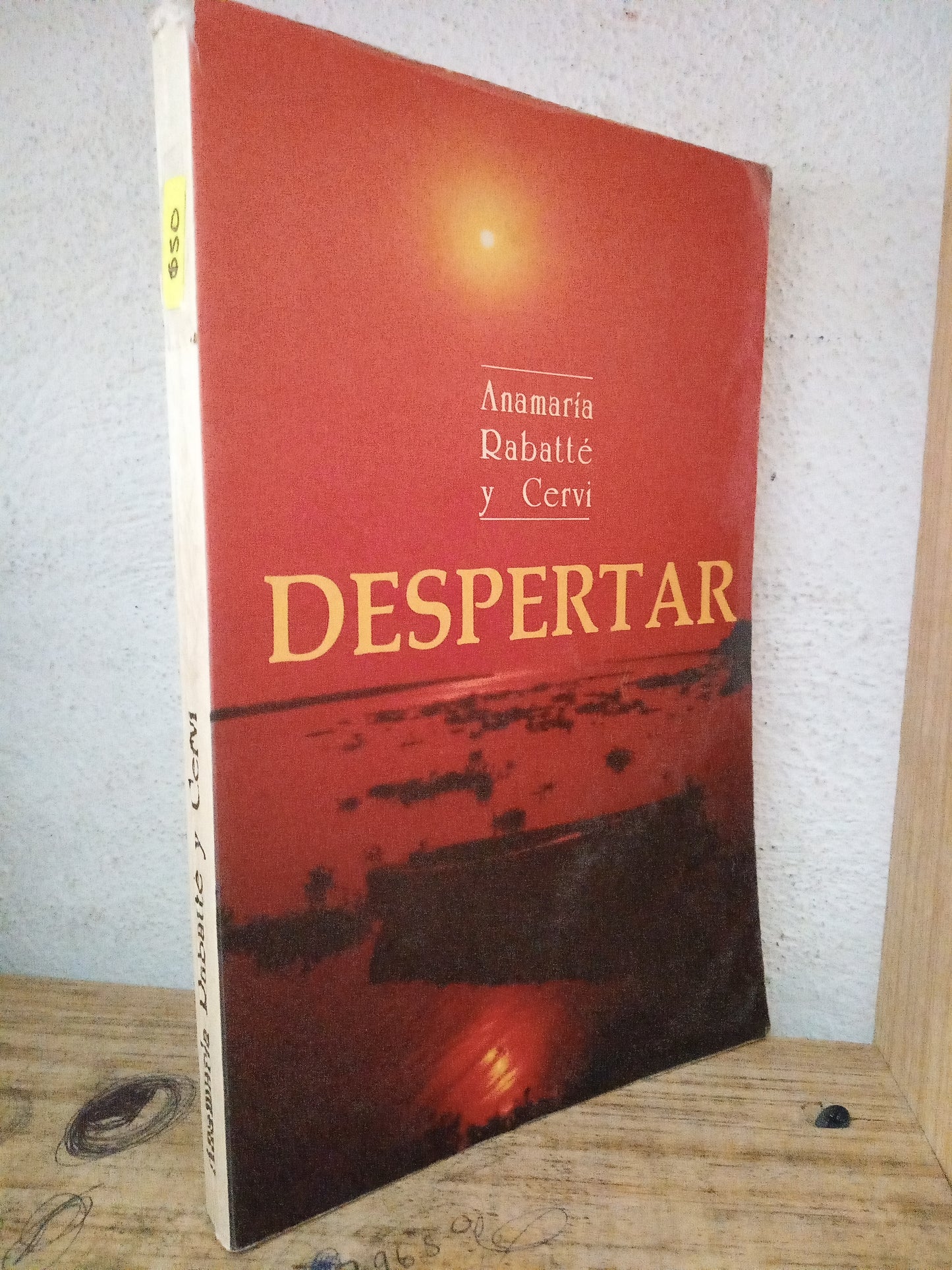 ANAMARIA RABATTE Y CERVI DESPERTAR USADO RELIGION LITERARIO 305