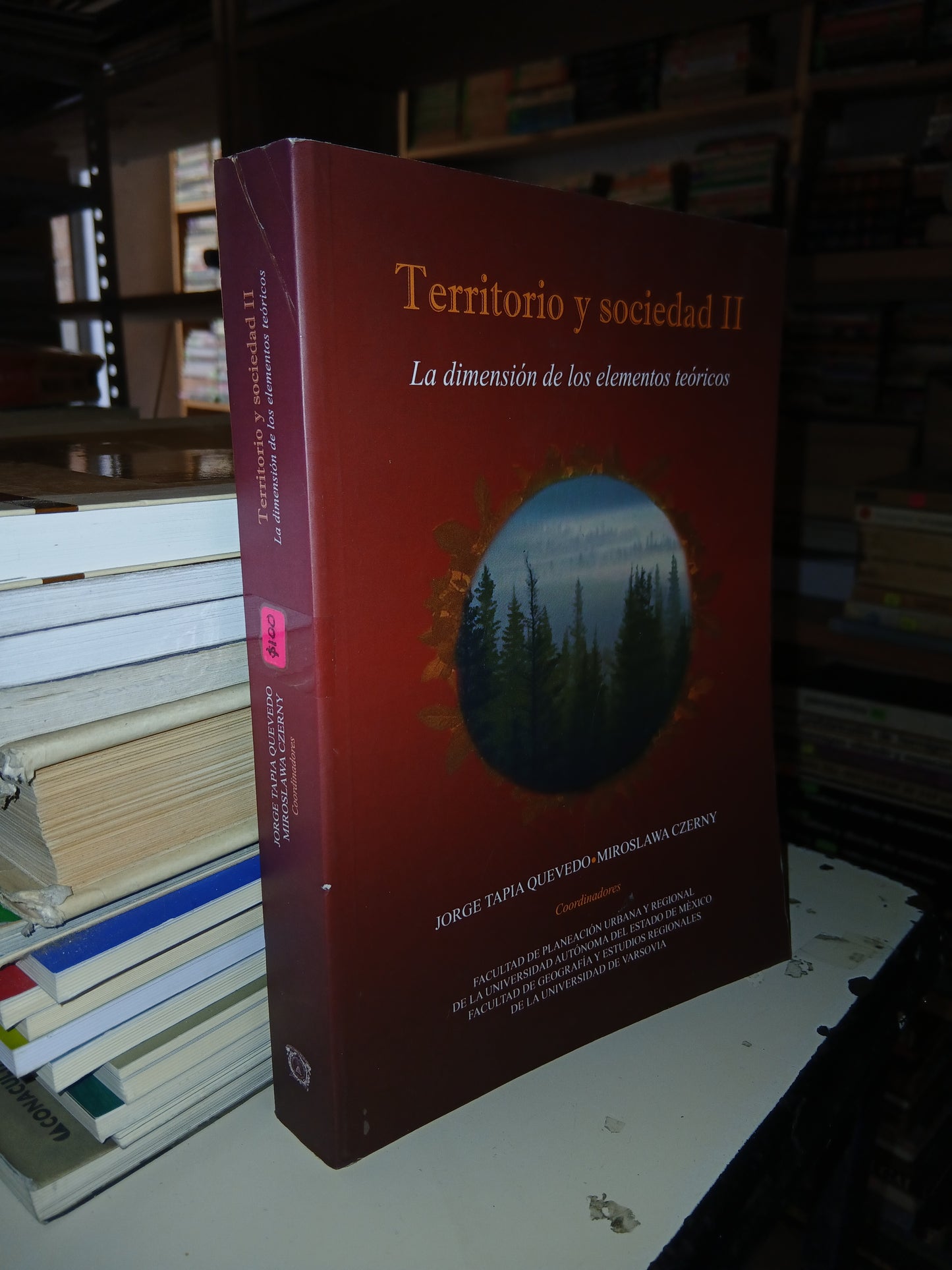TERRITORIO Y SOCIEDAD II POR JORGE TAPIA QUEVEDO Y MIROSLAWA CZERNY USADO ANTROPOLOGÍA LITERARIO 207