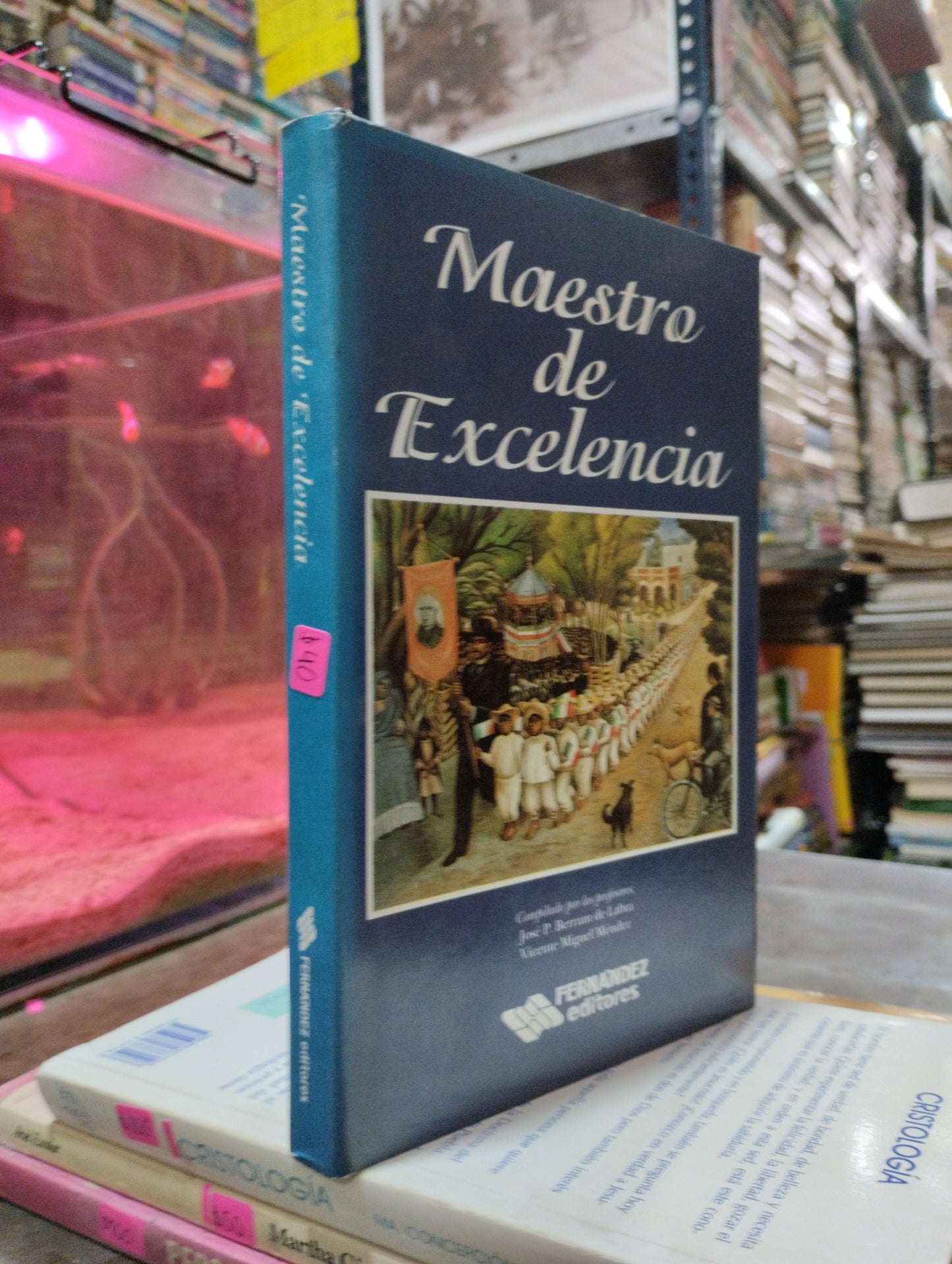 MAESTRO DE EXCELENCIA POR JOSE P. BERRUM Y VICENTE MIGUEL MENDEZ USADO EDUCACION ALDAMA
