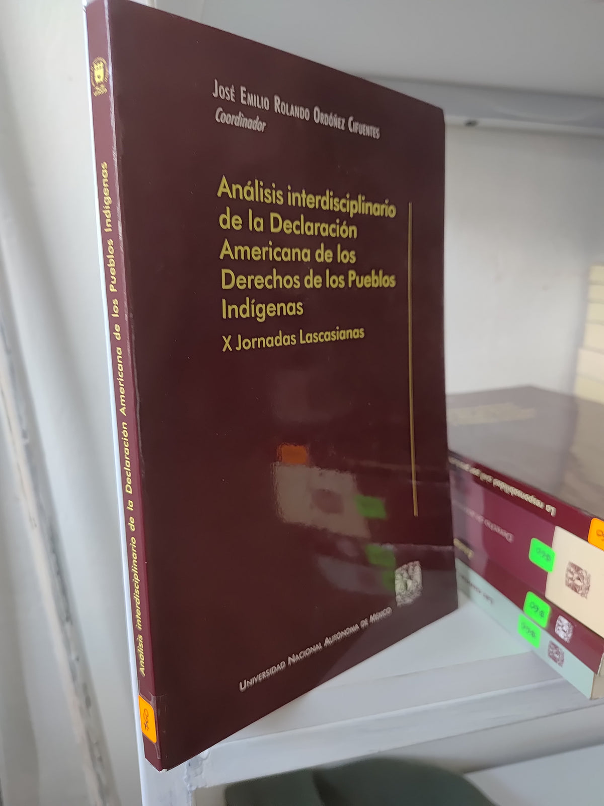 ANALISIS INTERDISCIPLINARIO DE LA DECLARACION AMERICANA DE LOS DERECHO DE LOS PUEBLOS INDIGENAS POR JOSE EMILIO RONALDO USADO DERECHO JUAREZ 515