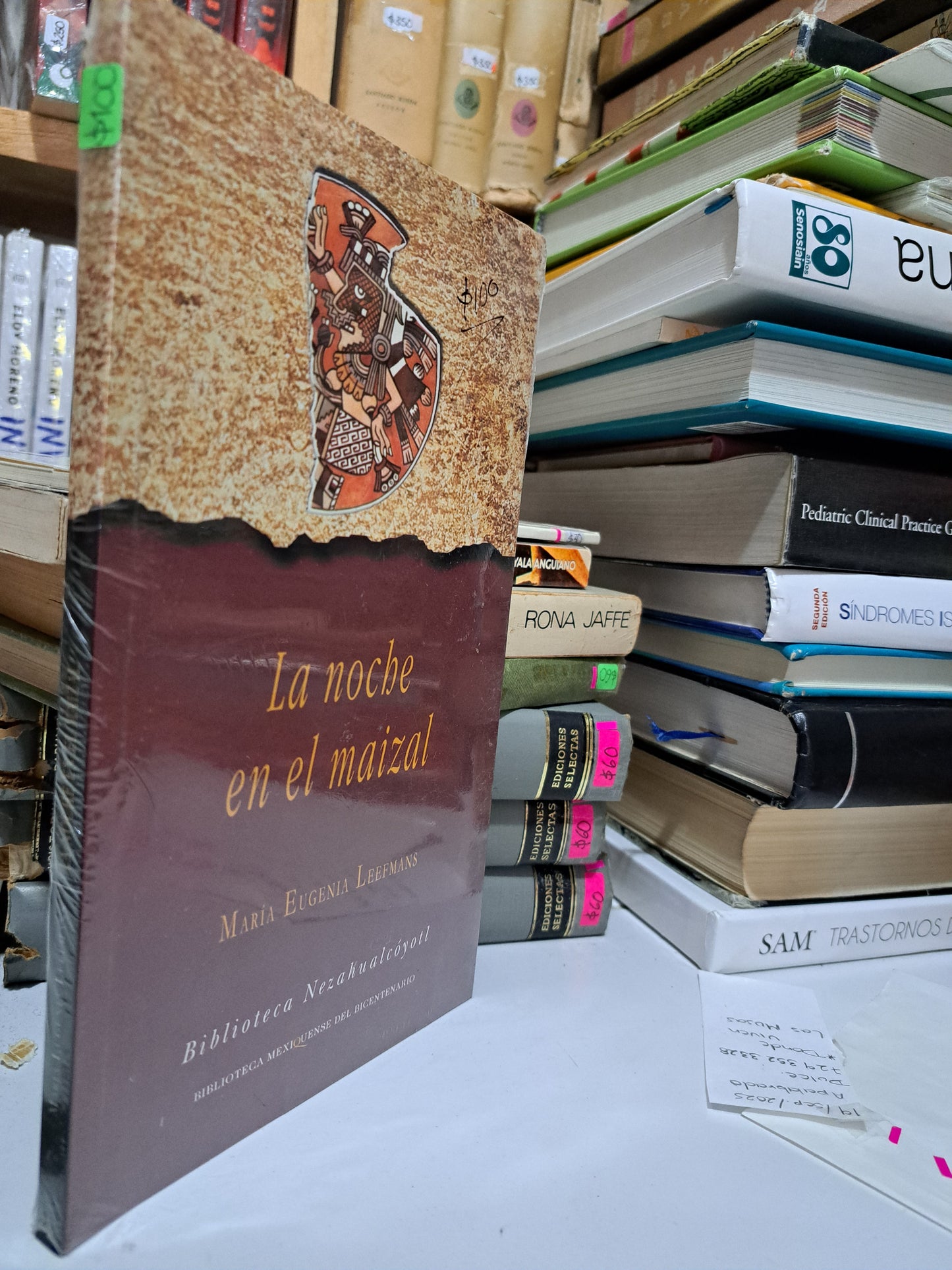 LA NOCHE EN EL MAIZAL MARÍA EUGENIA LEEFMANS USADO NOVELA JUÁREZ