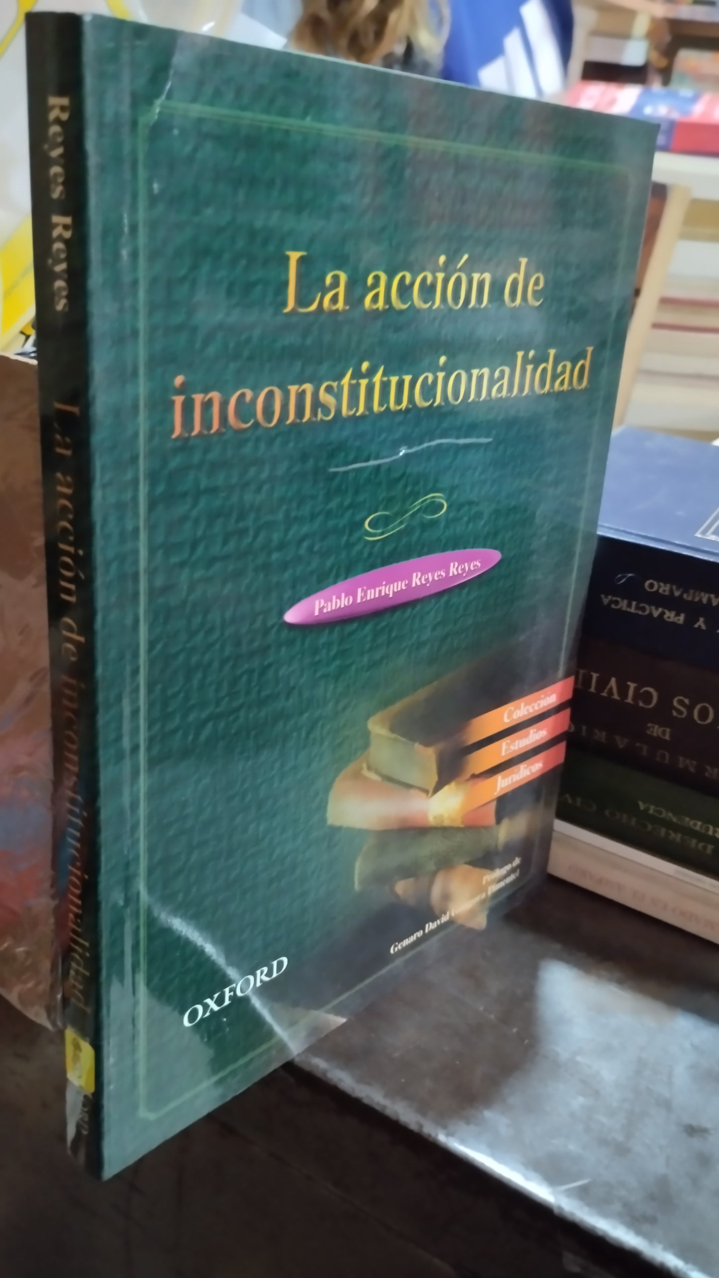LA ACCION DE INCONSTITUCIONALIDAD POR PABLO ENRIQUE REYES REYES LIBRO USADO DERECHO ALDAMA