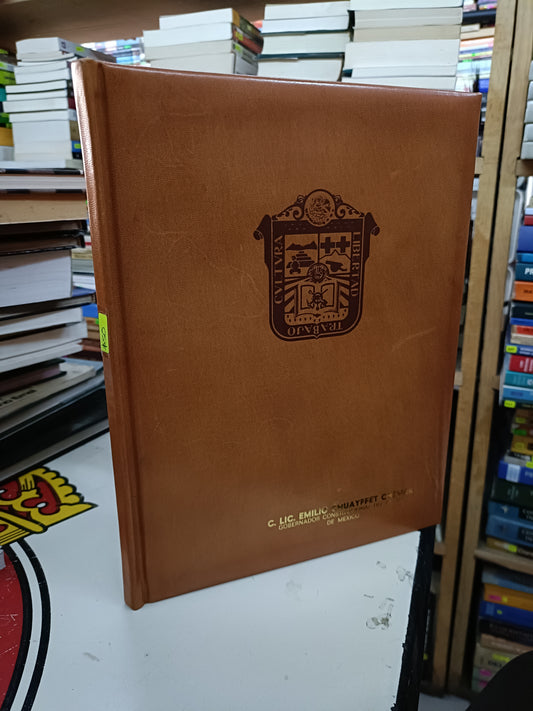 CONSTITUCIÓN POLÍTICA DEL ESTADO LIBRE Y SOBERANO DE MÉXICO USADO DERECHO LITERARIO 207