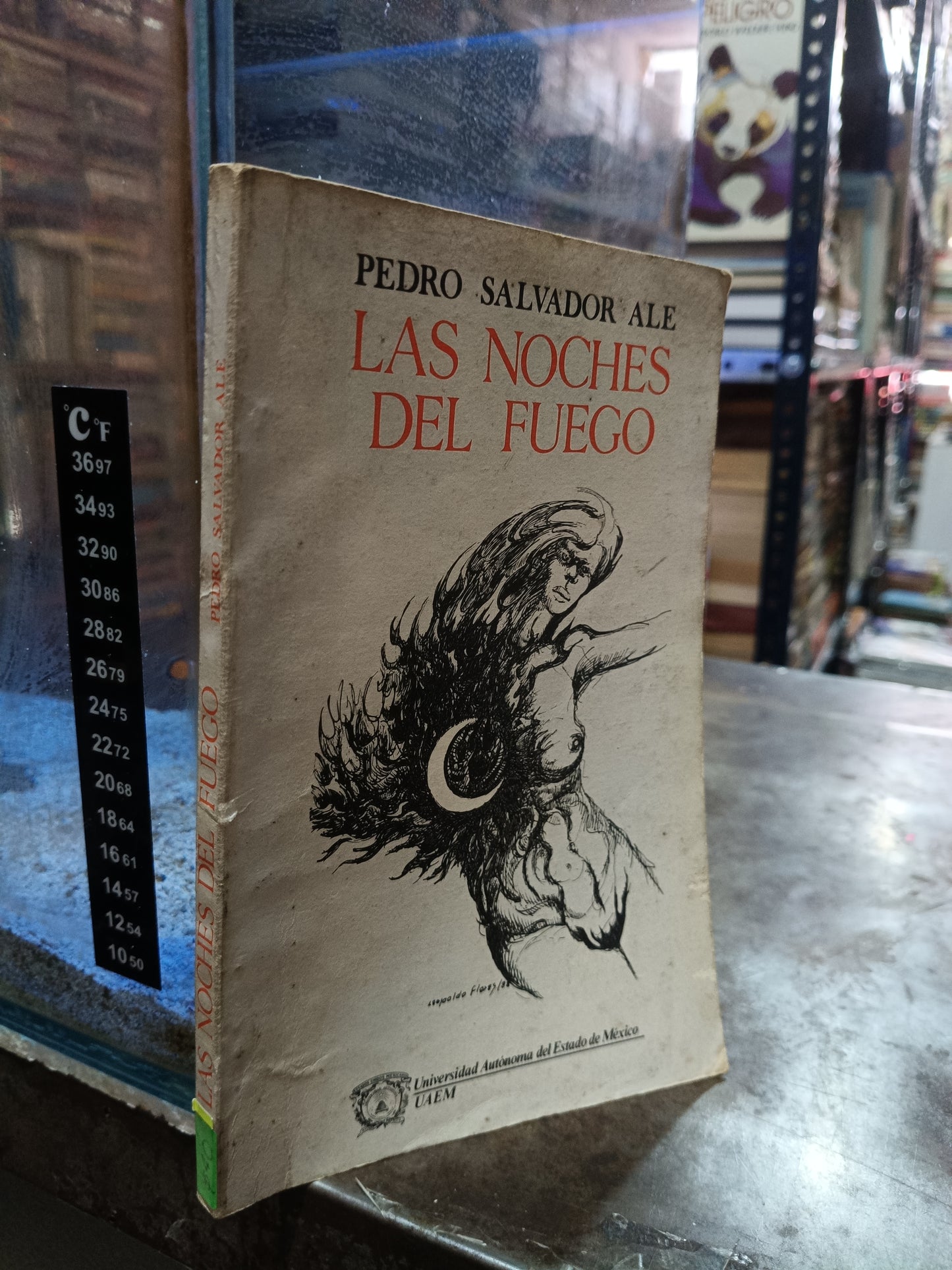 LAS NOCHES DEL FUEGO POR PEDRO SALVADOR ALE USADO POESÍA ALDAMA