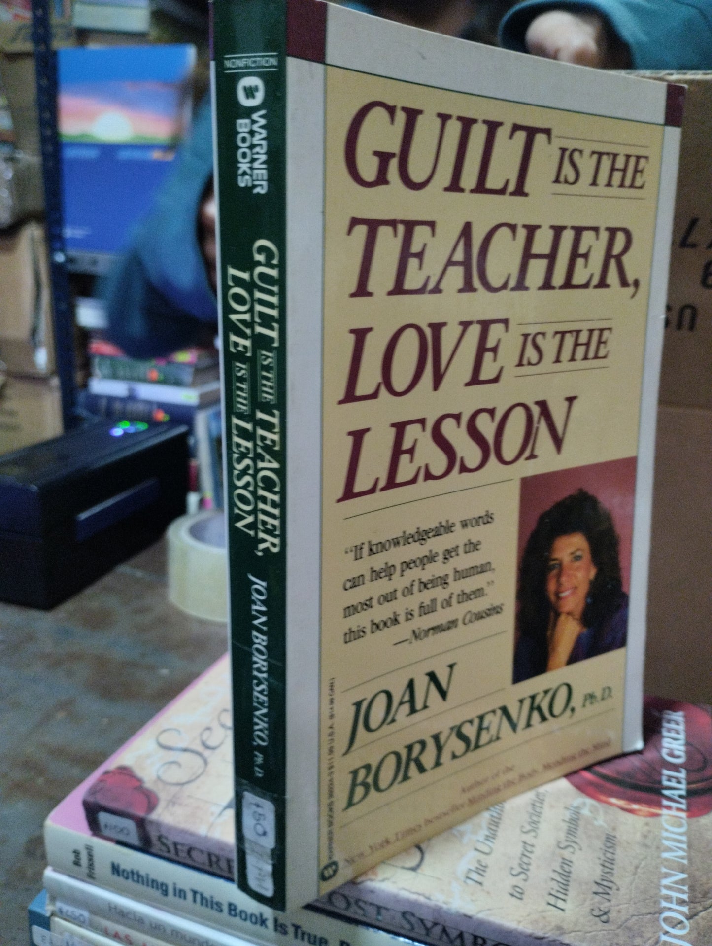 GUILT IS THE TEACHER'S LOVE IS THE LESSON POR JOAN BORYSENKO USADO IDIOMAS ALDAMA