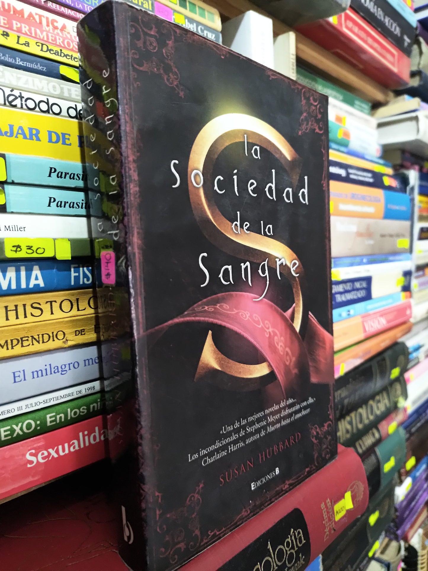 LA SOCIEDAD DE LA SANGRE POR SUSAN HUBBARD USADO NOVELAS LITERARIO 305