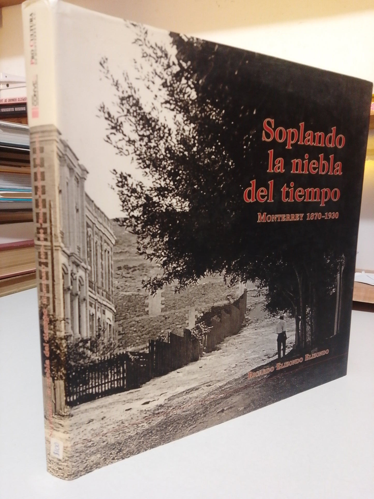 SOPLANDO LA NIEBLA DEL TIEMPO POR RICARDO ELIZONDO USADO ARTE JUÁREZ