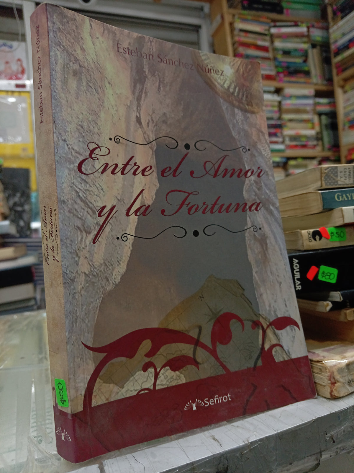 ENTRE EL AMOR Y LA FORTUNA POR ESTEBAN SANCHEZ NUÑEZ USADO NOVELA JUAREZ 507