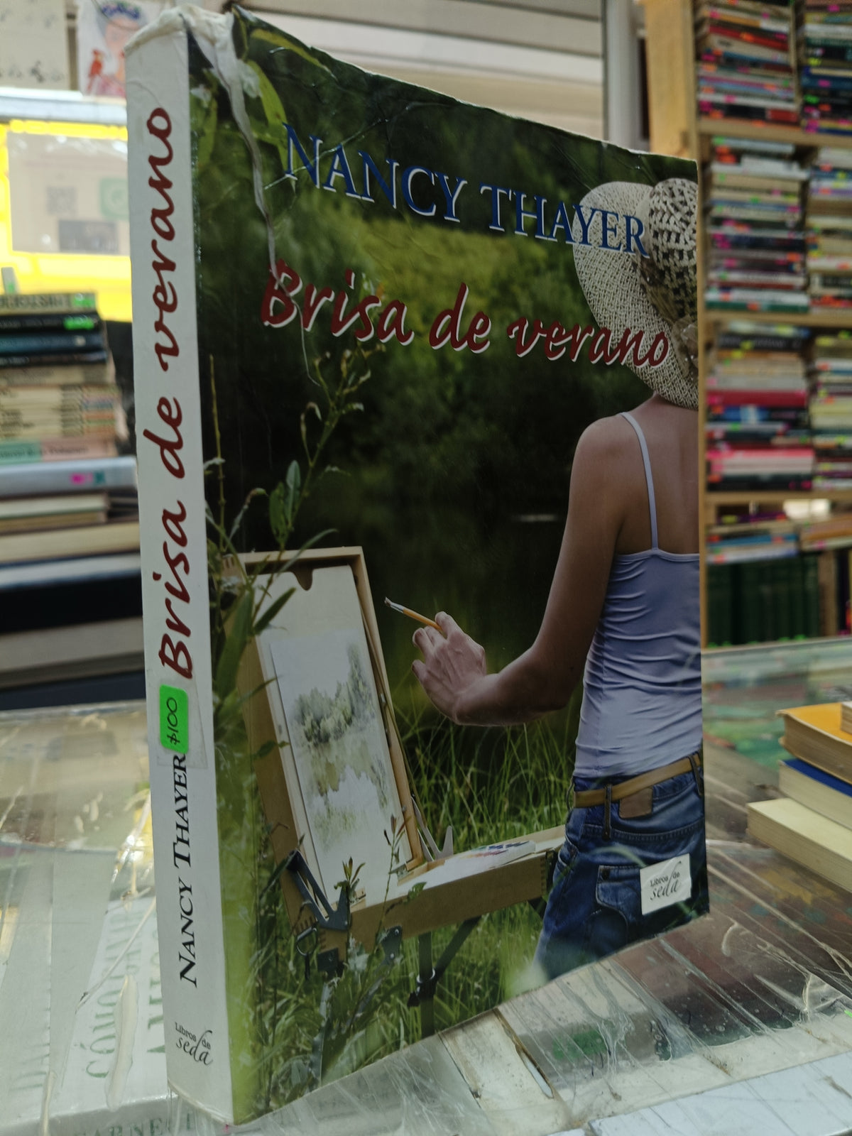 BRISA DE VERANO POR NANCY THAYER USADO NOVELA JUAREZ 507