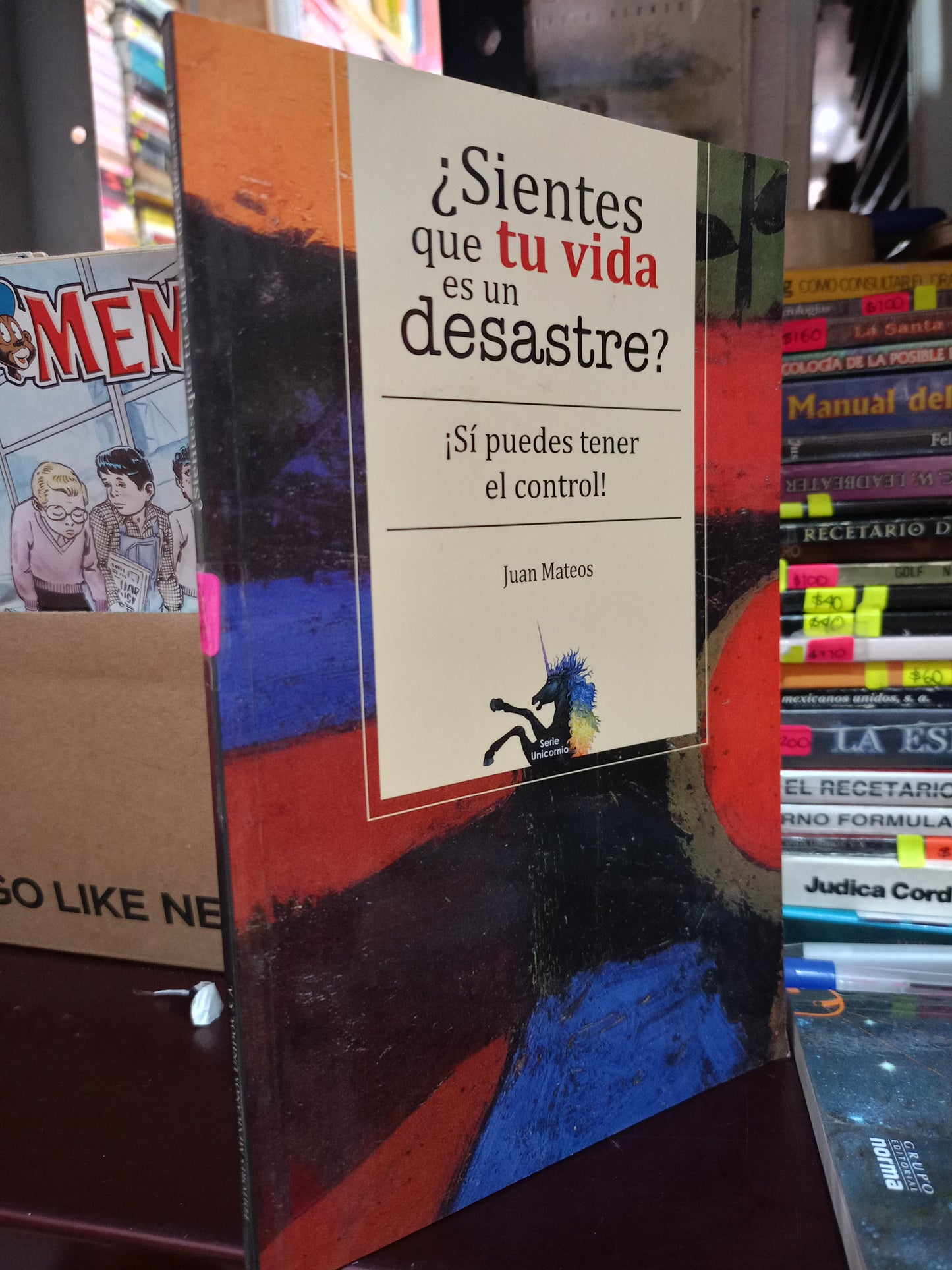 SIENTES QUE TU VIDA ES UN DESASTRE POR JUAN MATEOS USADO S.PERSONAL LITERARIO 305