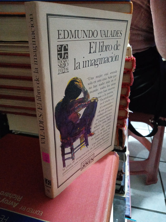 EL LIBRO DE LA IMAGINACION POR EDMUNDO VALADES USADO NOVELA JUAREZ