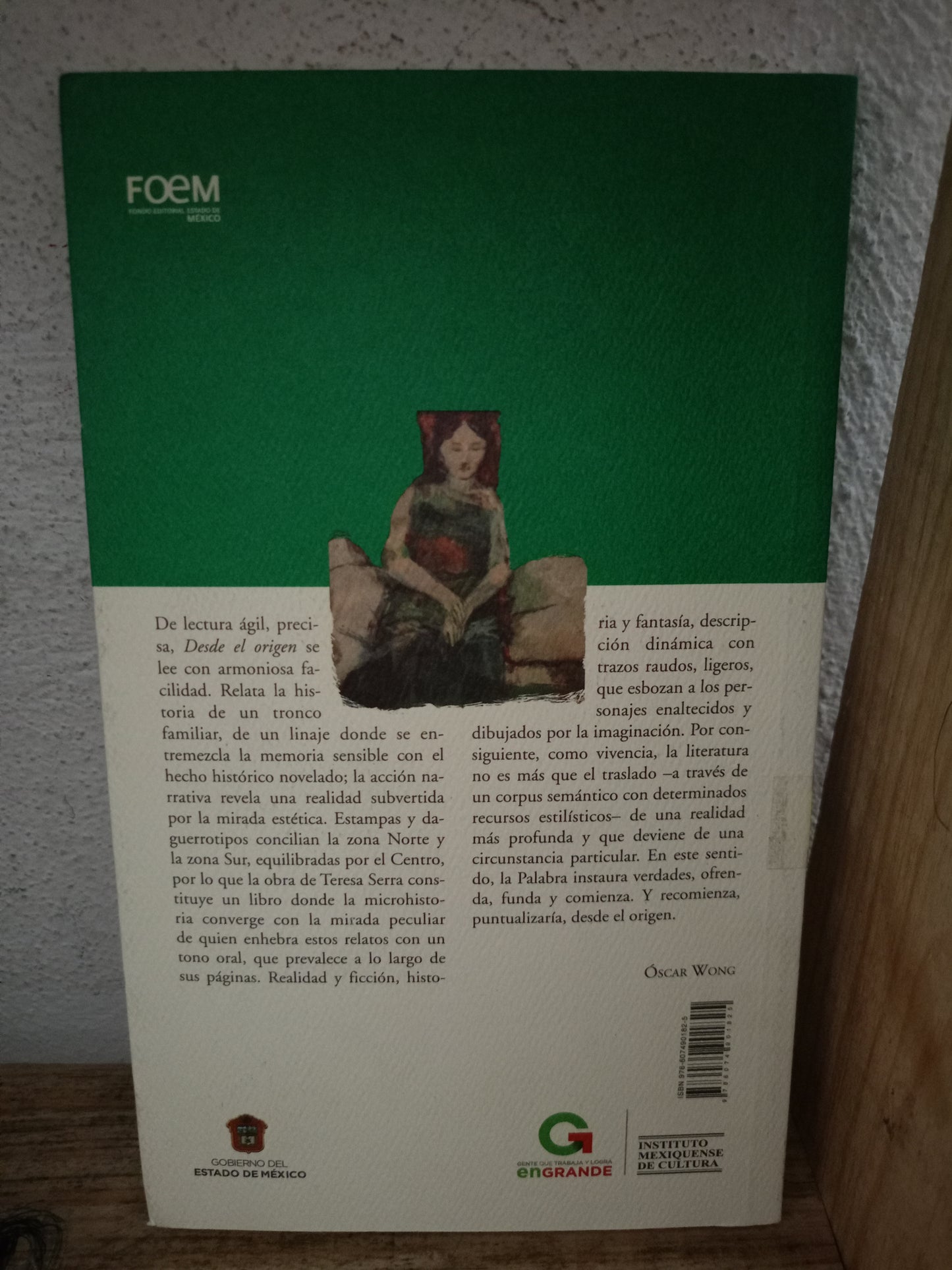 DESDE EL ORIGEN POR TERESA SERRA MARTÍN DEL CAMPO USADO NOVELA LITERARIO 305