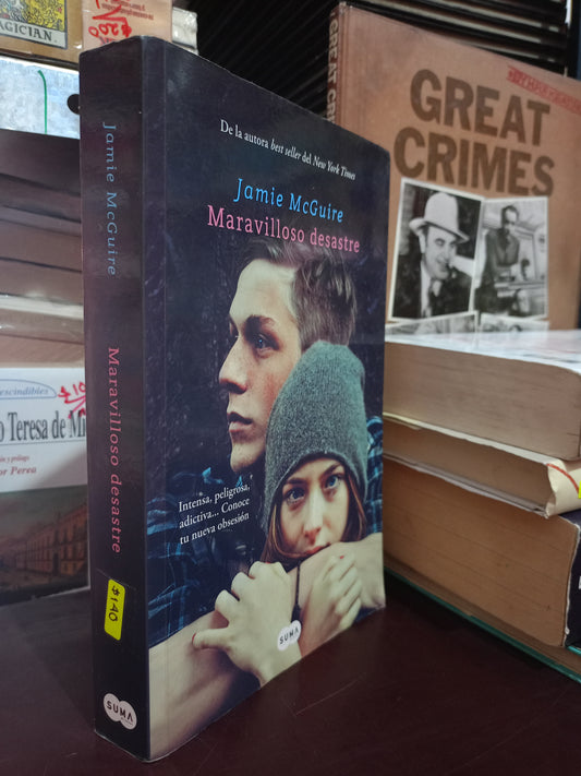 MARAVILLOSO DESASTRE POR JAMIE MCGUIRE USADO NOVELA LITERARIO 305
