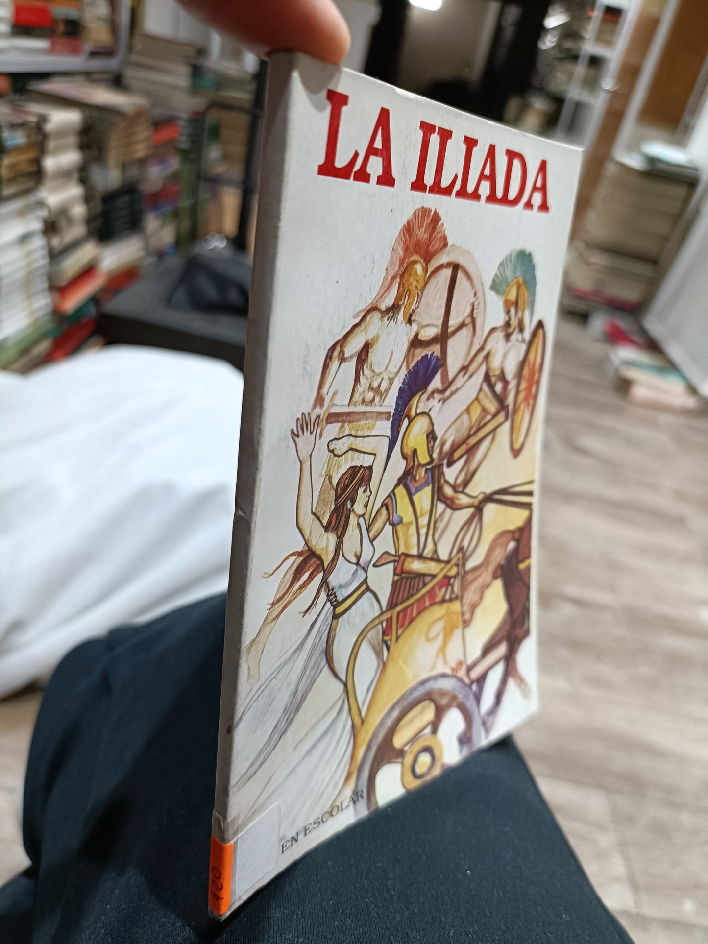 LA ILIADA POR HOMERO RESUMEN ESCOLAR USADOS NOVELAS JUAREZ 515