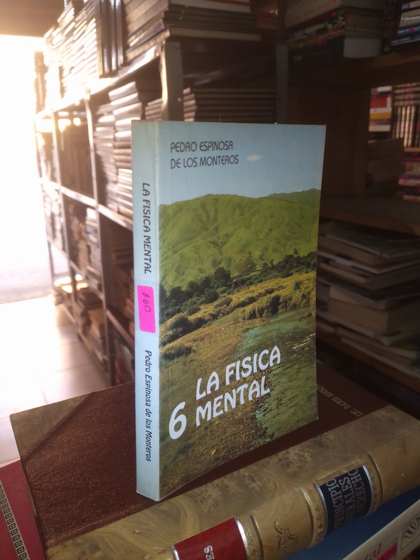 LA FÍSICA MENTAL POR PEDRO ESPINOSA DE LOS MONTEROS USADO SUPERACIÓN PERSONAL LITERARIO 207