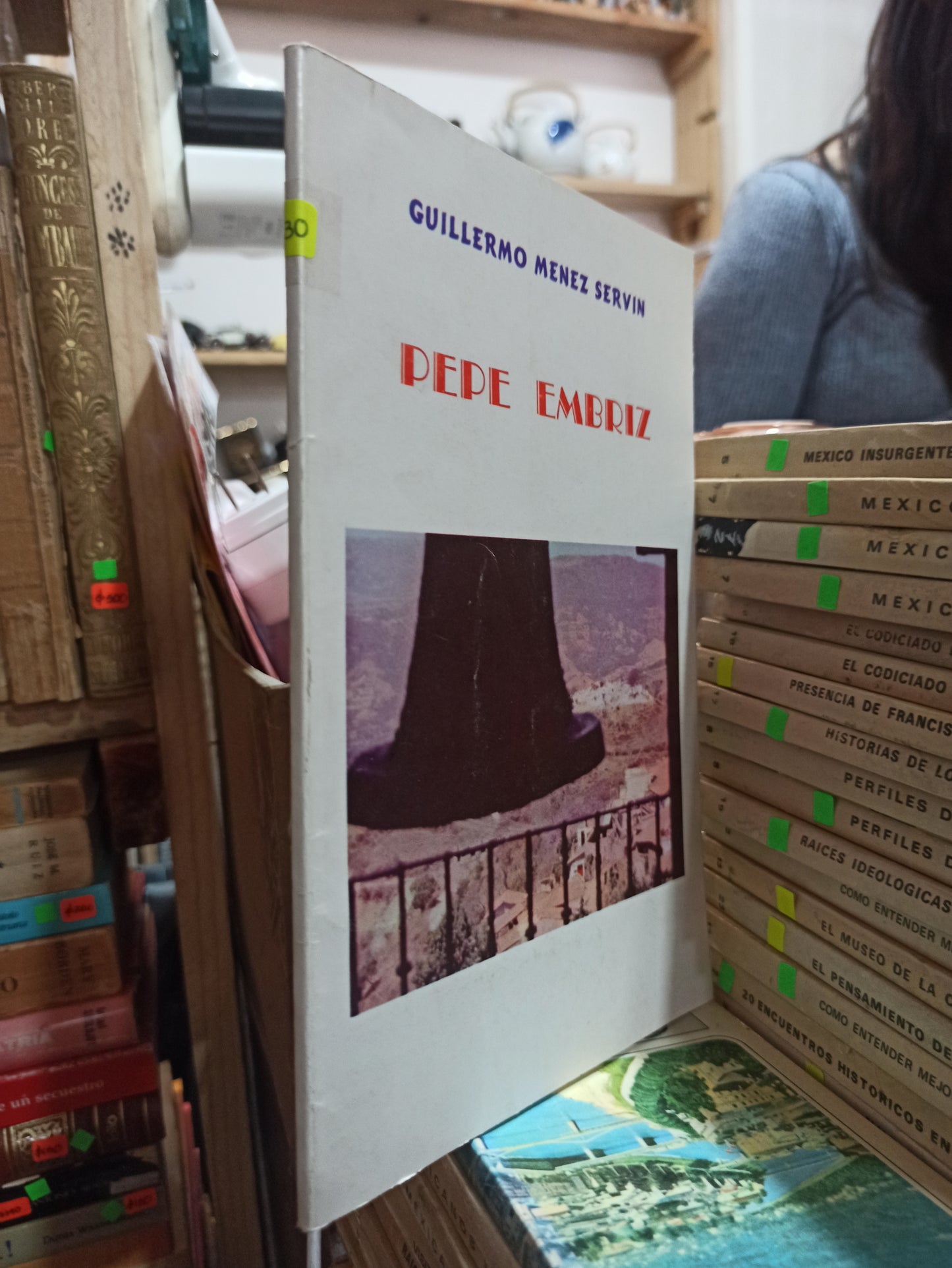PEPE EMBRIZ POR GUILLERMO MENEZ SERVIN USADO HISTORIA ALDAMA