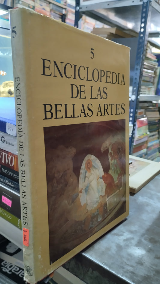ENCICLOPEDIA DE LAS BELLAS ARTES 5 LIBRO USADO ARTE ALDAMA
