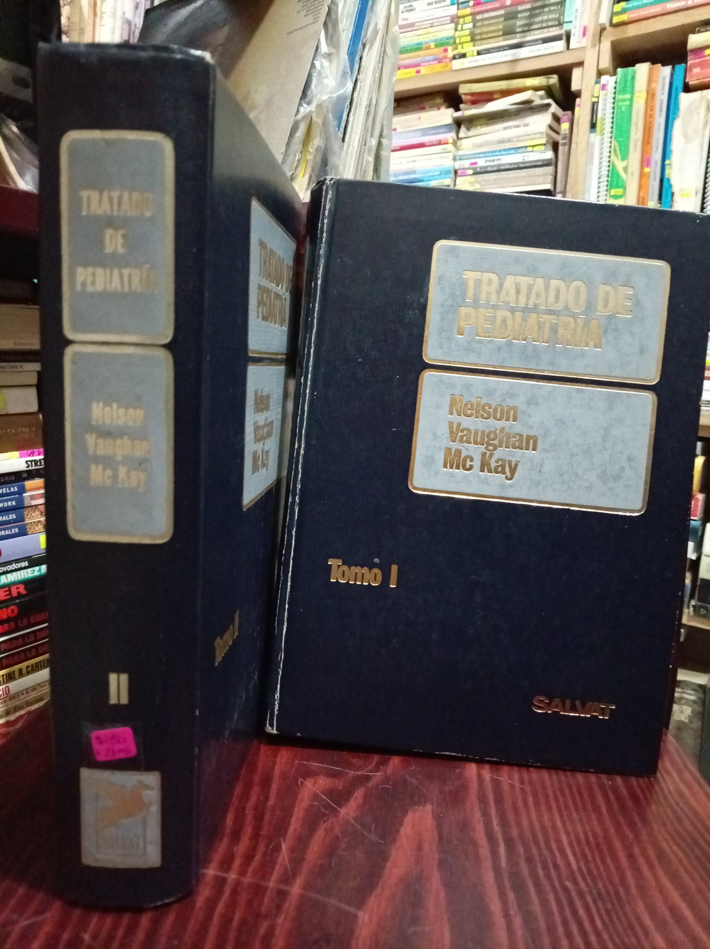 TRATADO DE PEDIATRIA POR NELSON VAUGHAN MCKAY USADO SALUD LITERARIO 305