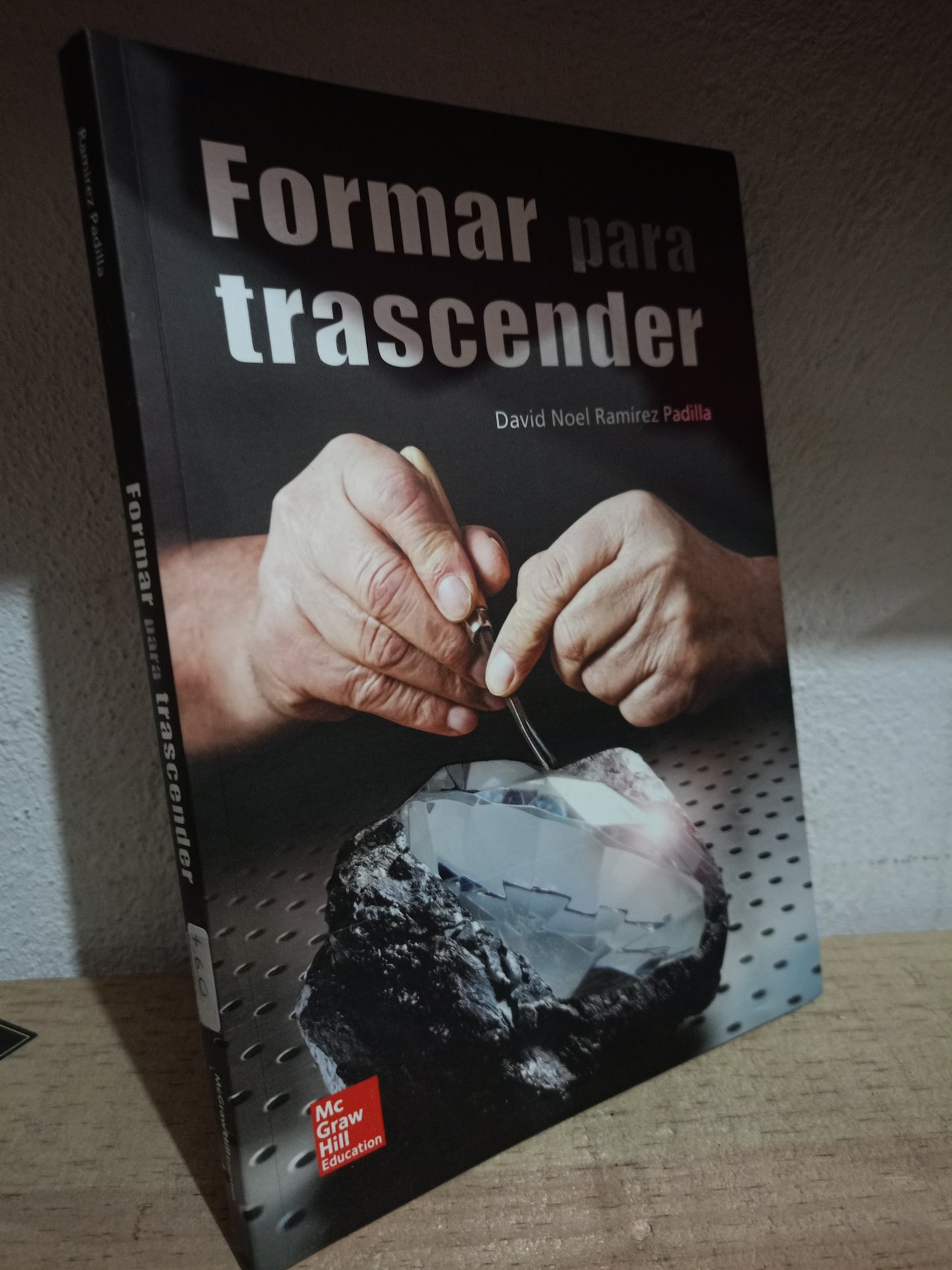 FORMAR PARA TRASCENDER POR DAVID NOEL RAMÍREZ PADILLA USADO S.PERSONAL LITERARIO 305