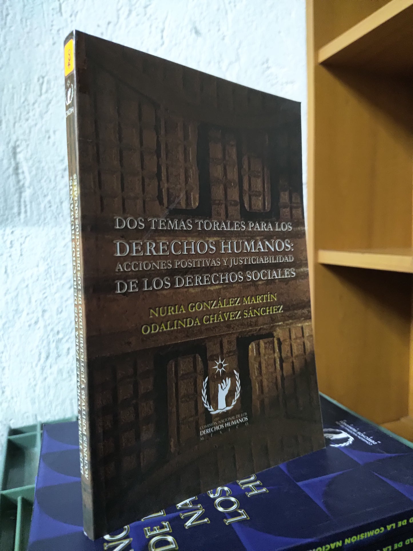 DOS TEMAS TORALES PARA LOS DERECHOS HUMANOS ACCIONES POSITIVAS Y JUSTICIABILIDAD POR NURIA GONZALES MARTIN USADO DERECHO JUAREZ 515
