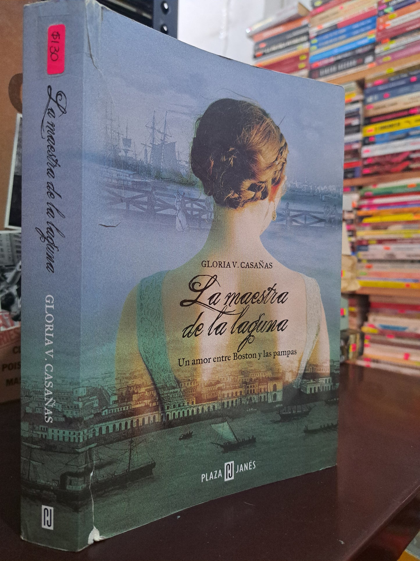 LA MAESTRA DE LA LAGUNA GLORIA V. CASAÑAS USADO NOVELA LITERARIO 305