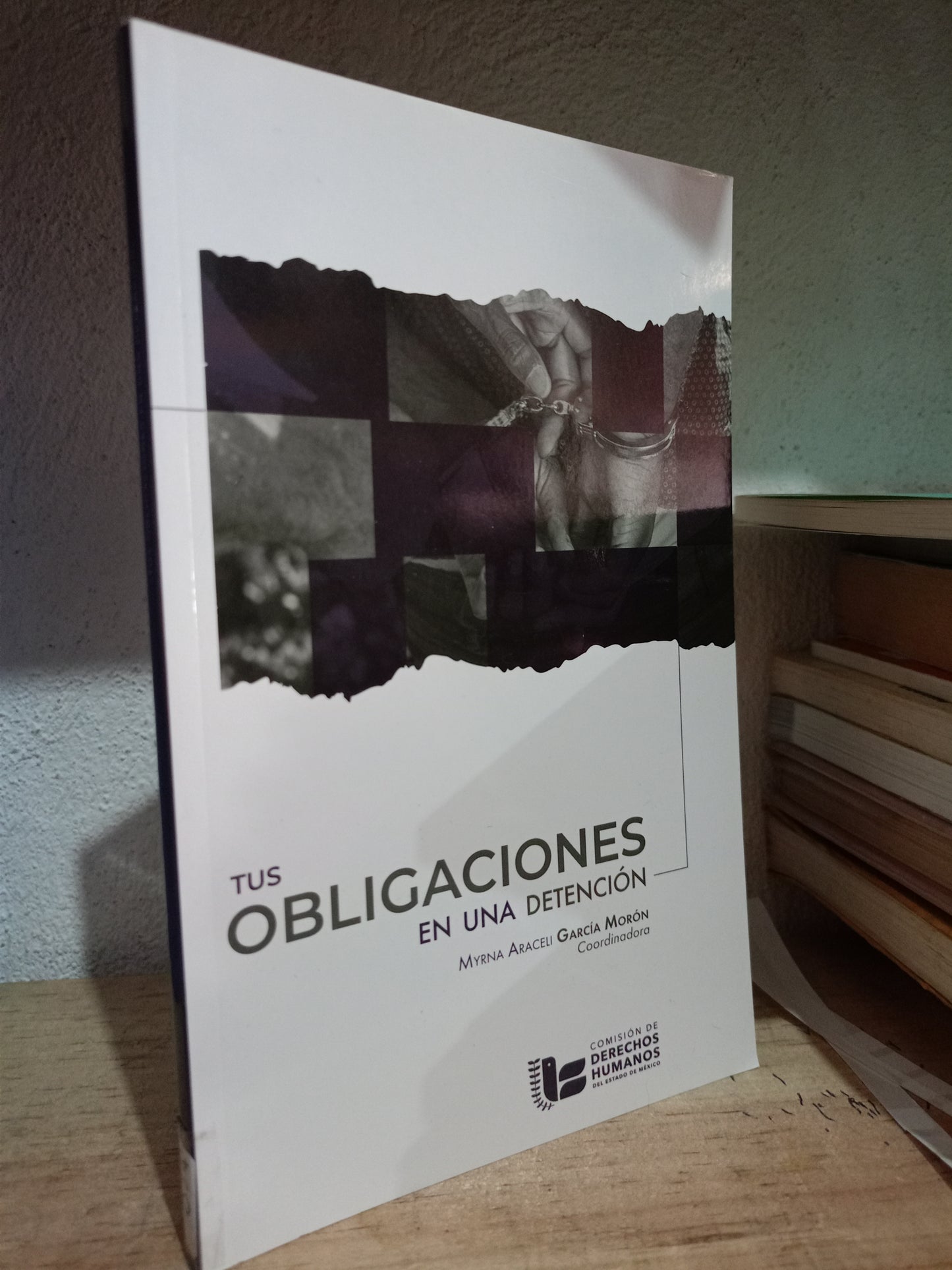 TUS OBLIGACIONES EN UNA DETENCION POR MYRNA ARACELI GARCIAGO MORON USADO DERECHO LITERARIO 305