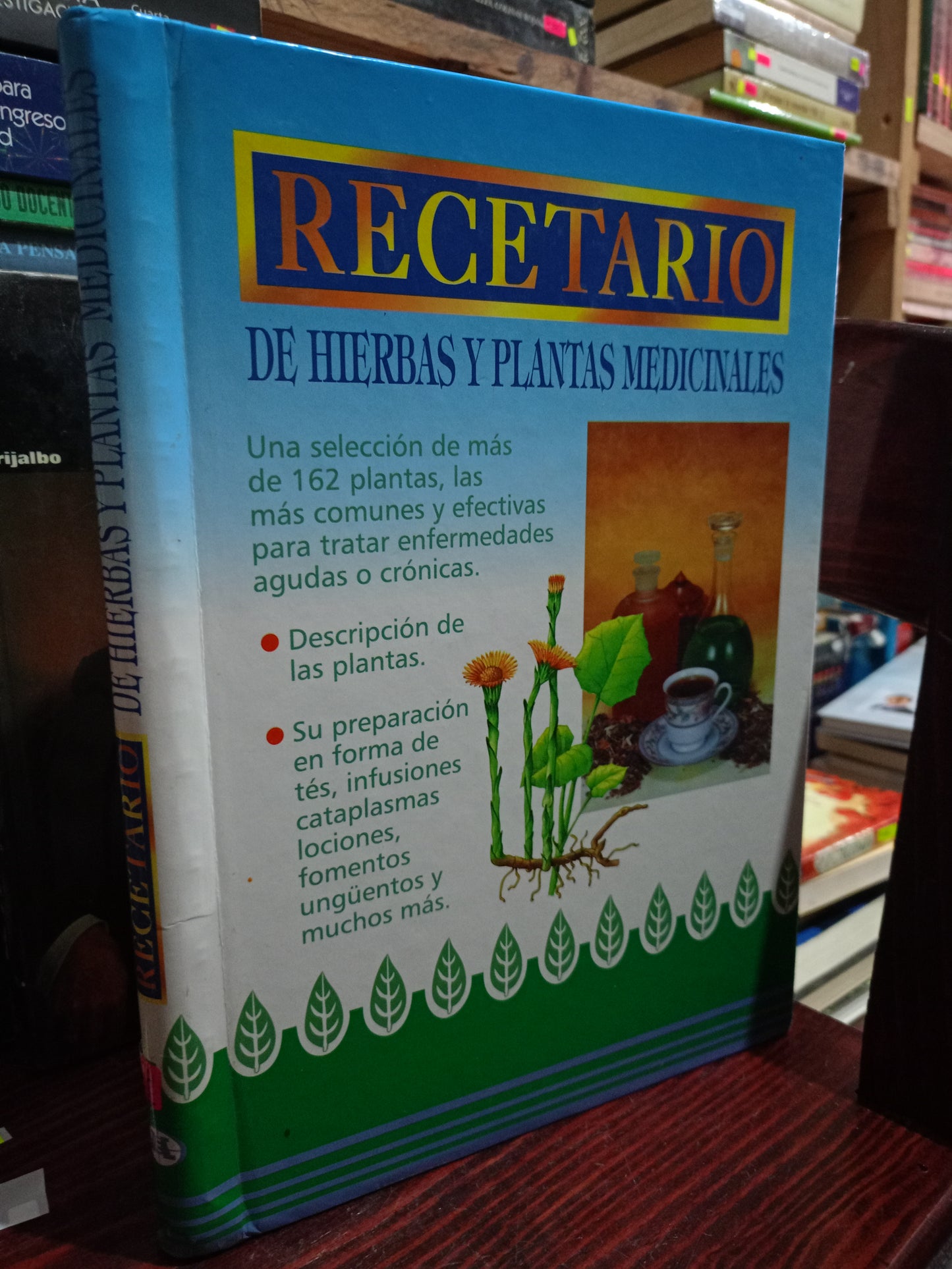 RECETARIO DE HIERBAS Y PLANTAS MEDICINALES USADO SALUD LITERARIO 305