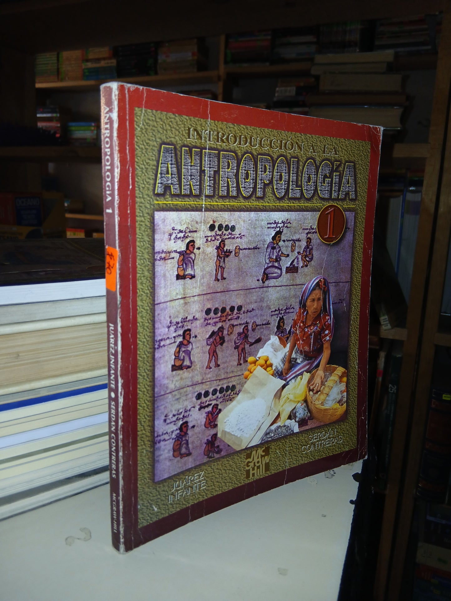 INTRODUCCIÓN A LA ANTROPOLOGÍA 1 POR JUÁREZ INFANTE Y SERDÁN CONTRERAS USADO ANTROPOLOGÍA LITERARIO 207