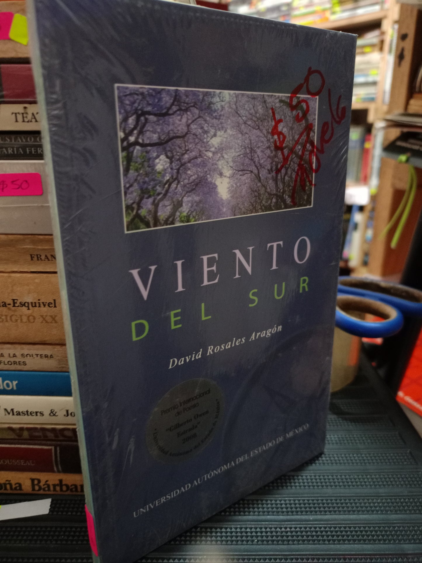 VIENTO DEL SUR POR DAVID ROSALES ARAGON NUEVO NOVELA LITERARIO 305