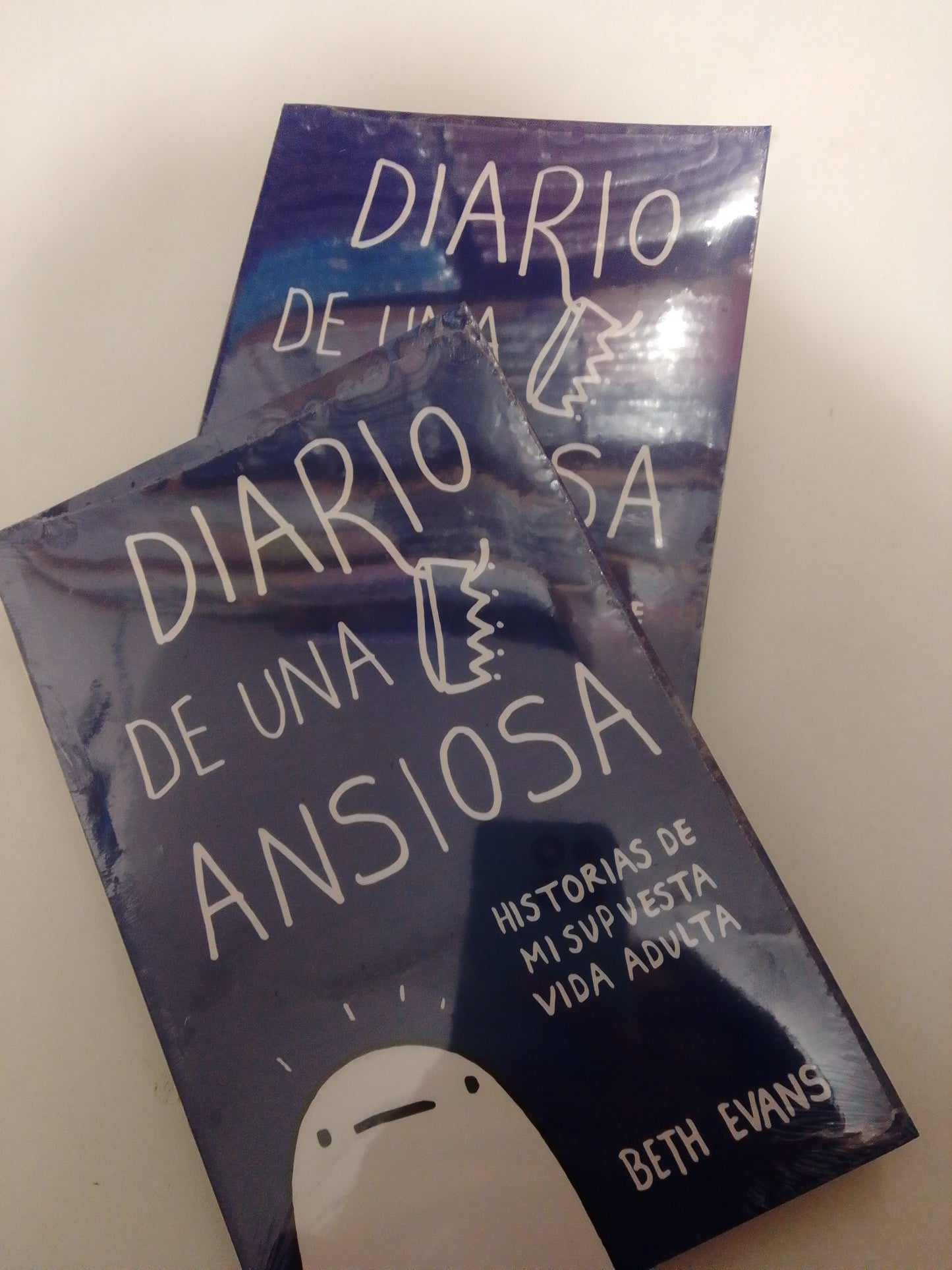 DIARIO DE UNA ANSIOSA POR BETH EVANS NUEVO JUAREZ