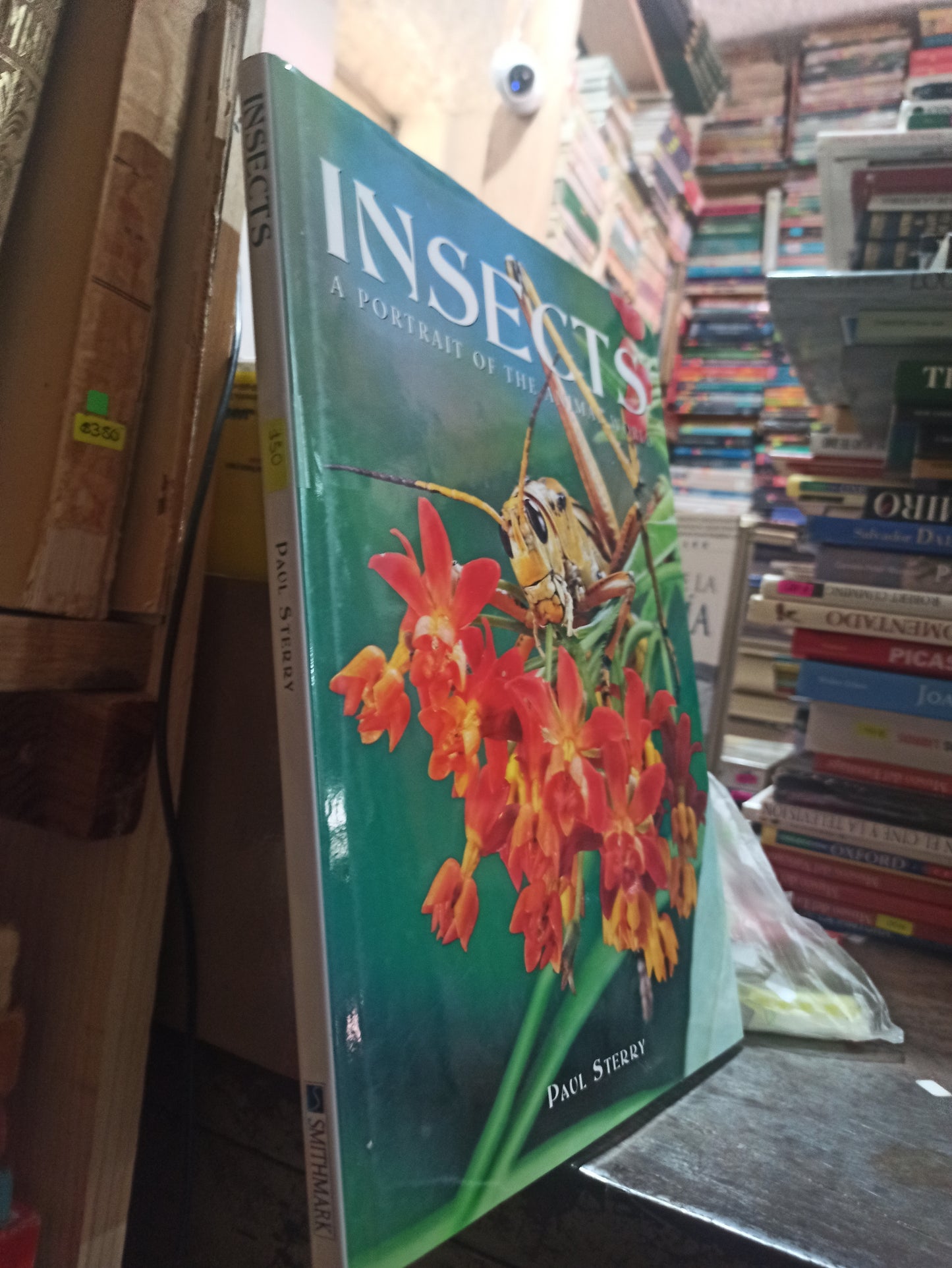 INSECTS POR PAUL STERRY USADO BIOLOGIA ALDAMA