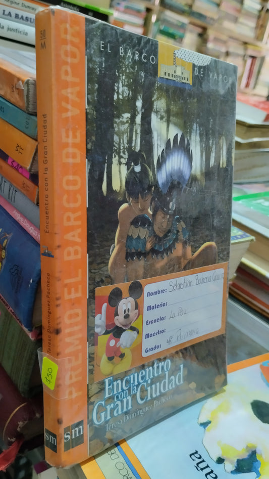ENCUENTRO CON LA GRAN CIUDAD POR TERESA DOMINGUEZ PACHECO LIBRO USADO INFANTIL ALDAMA